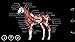 Horse Anatomy: Equine 3D
