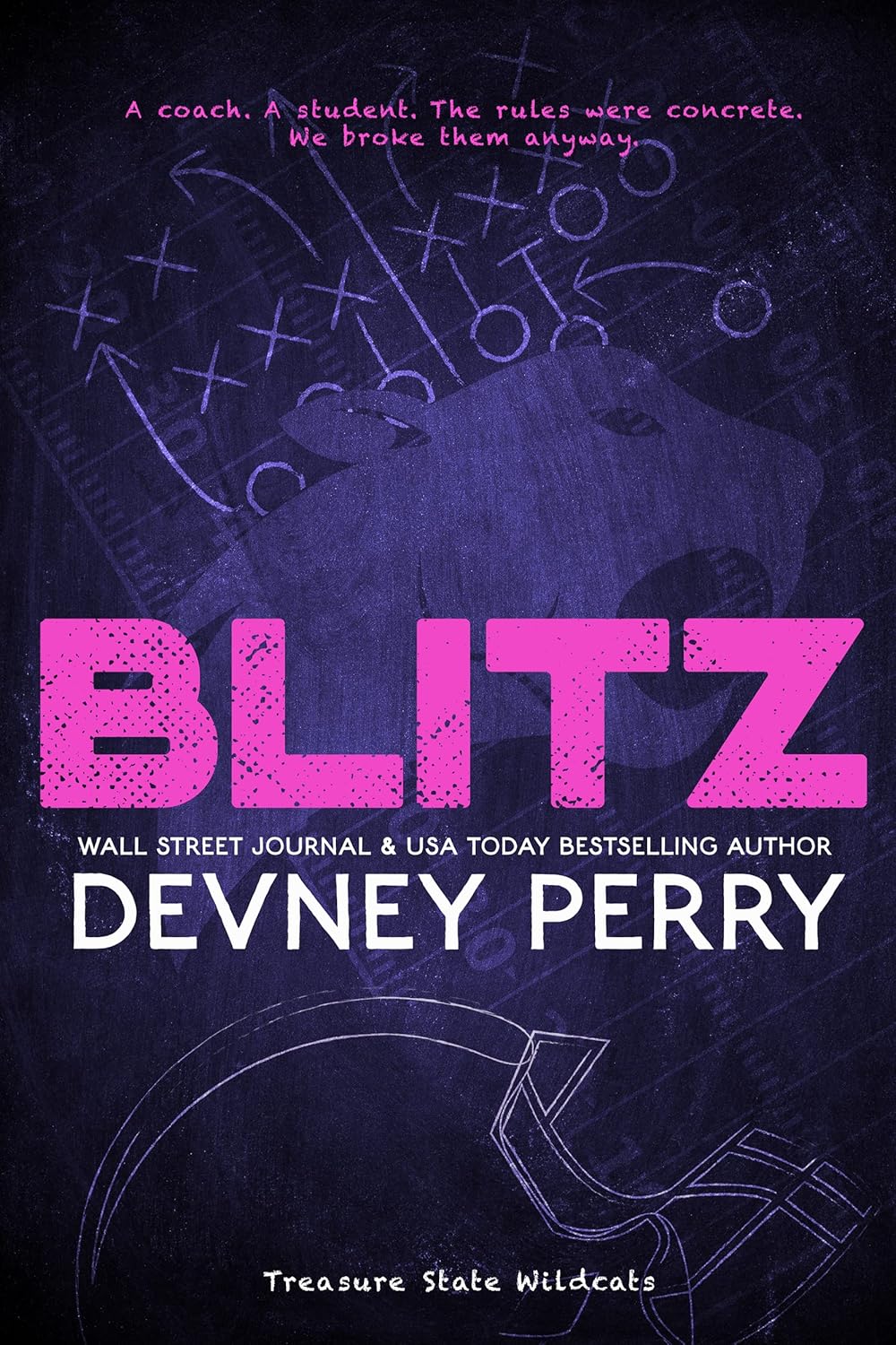 Blitz (Treasure State Wildcats Book 2) (English Edition) eBook Perry