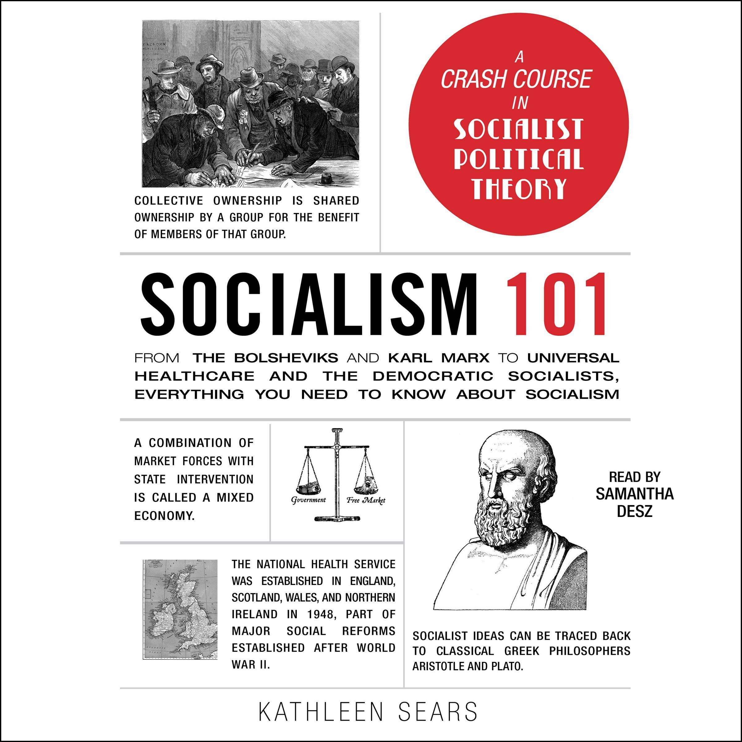 Cover art for Socialism 101