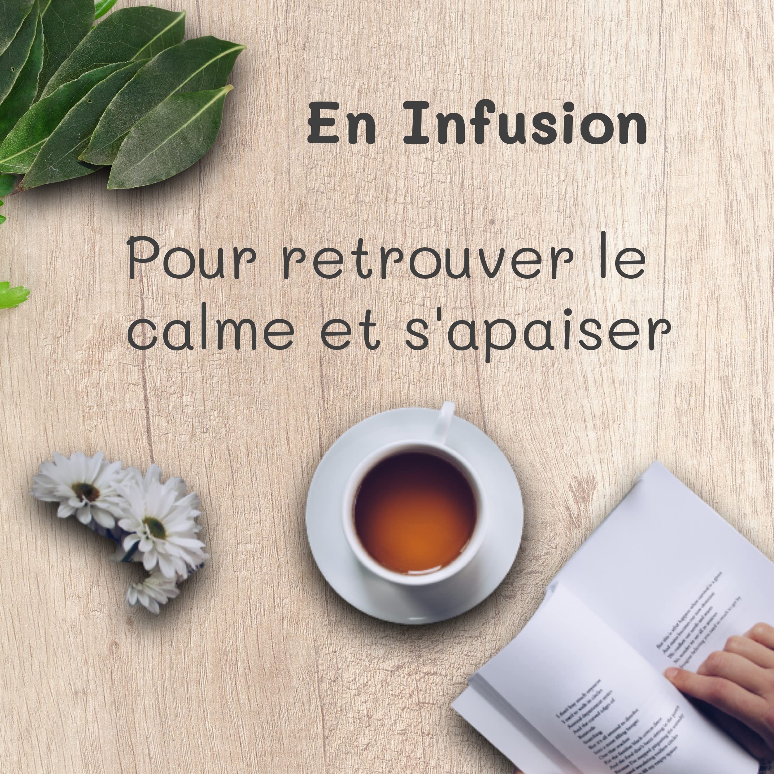 Feuilles de laurier FRAICHES entières, cueillies à la main à la commande