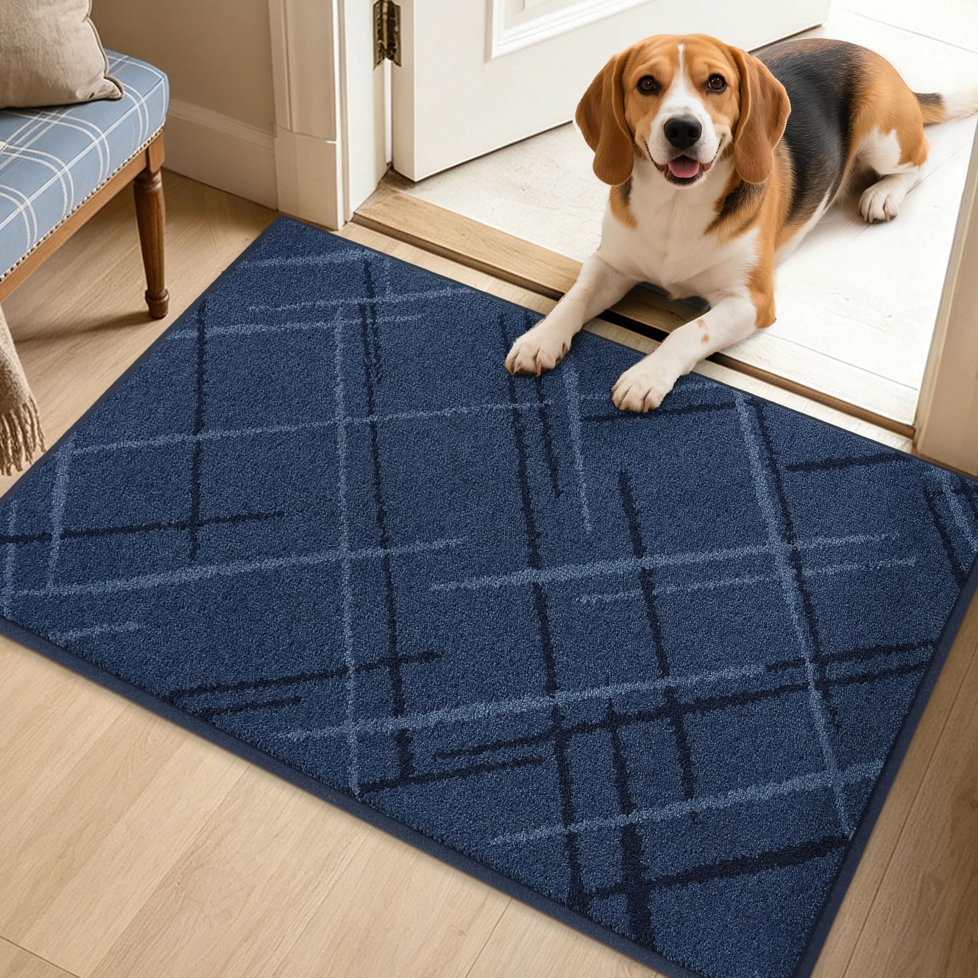 BEQHAUSE Blue Door Mat - Non-Slip Entryway Rug -18