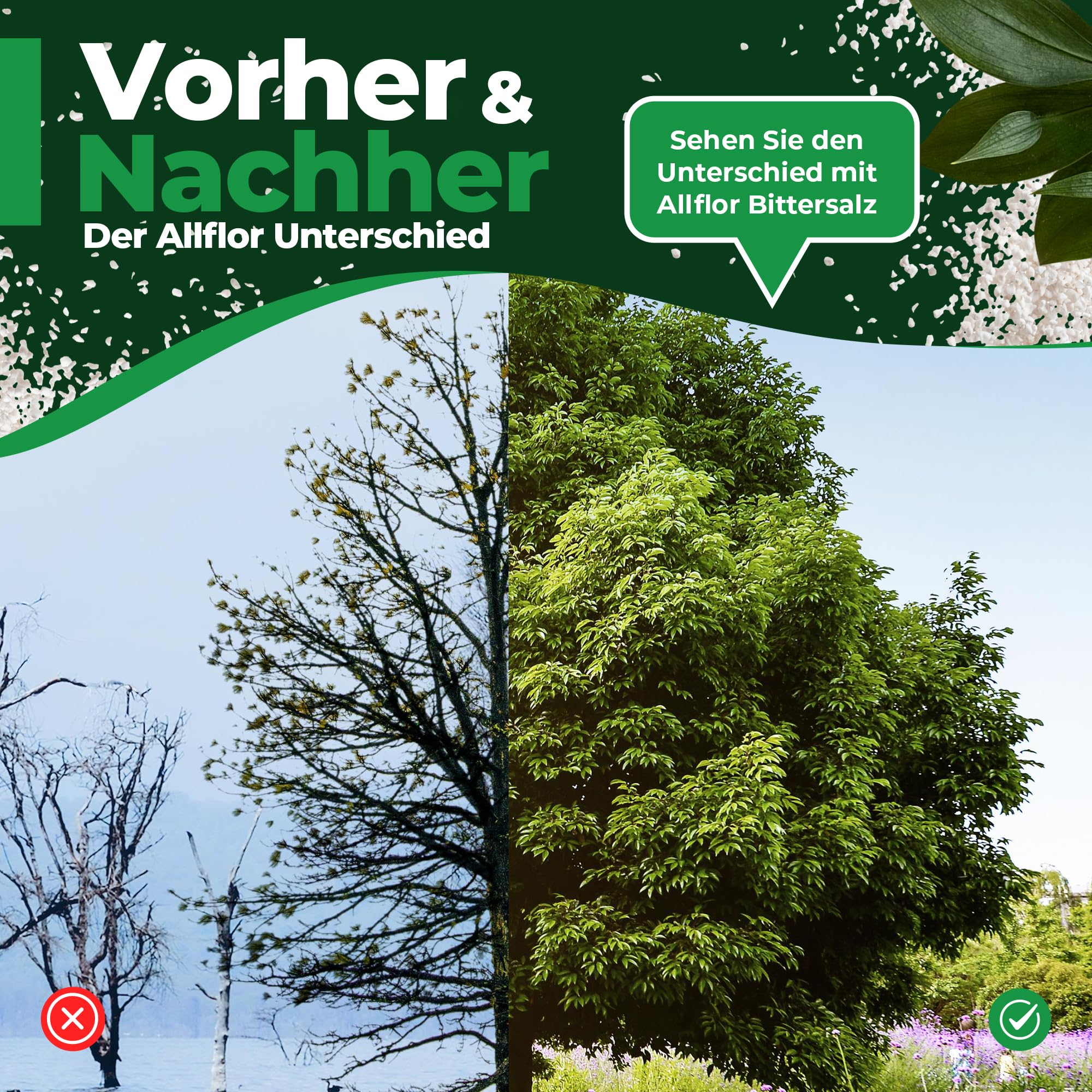 Allflor Bittersalz mit 16% Magnesium I 1 x 10 Kg I Bittersalz gegen Braunfärbung an Nadelbäumen und Hecken I Salzdünger für Blattgrünbildung I Zur Blatt- und Bodendüngung