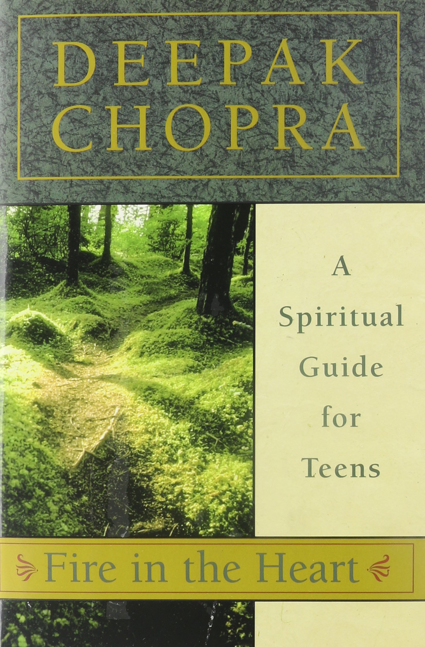 Buy Fire in the Heart: A Spiritual Guide for Teens — BookShops.in