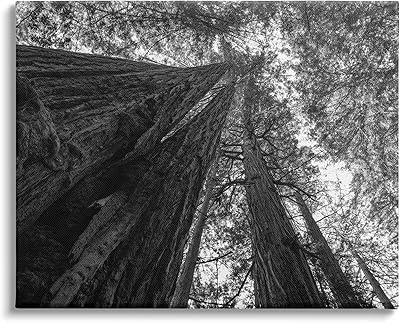 Stupell Industries Sky High Tree Looming Canvas Wall Art, Design by Aaron Matheson