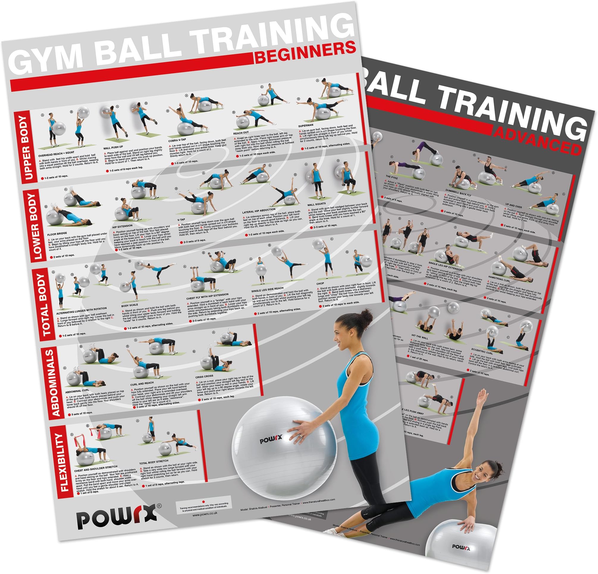 Exercise Ball Charts, Set of 2, Gym Ball Workout, Yoga Ball Training