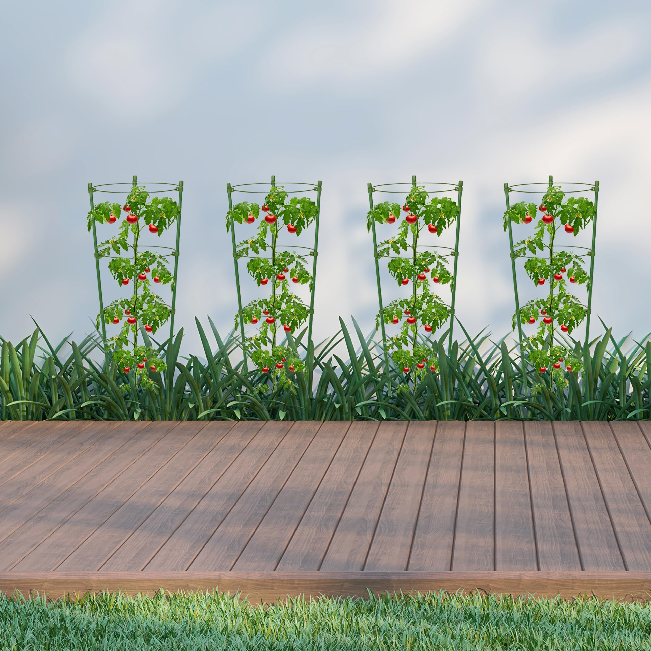 Relaxdays Tuteur à tomates, Lot de 6, 3 Anneaux, HxD : 45 x 18 cm, pour Plantes Utilitaires, métal & Plastique, Vert
