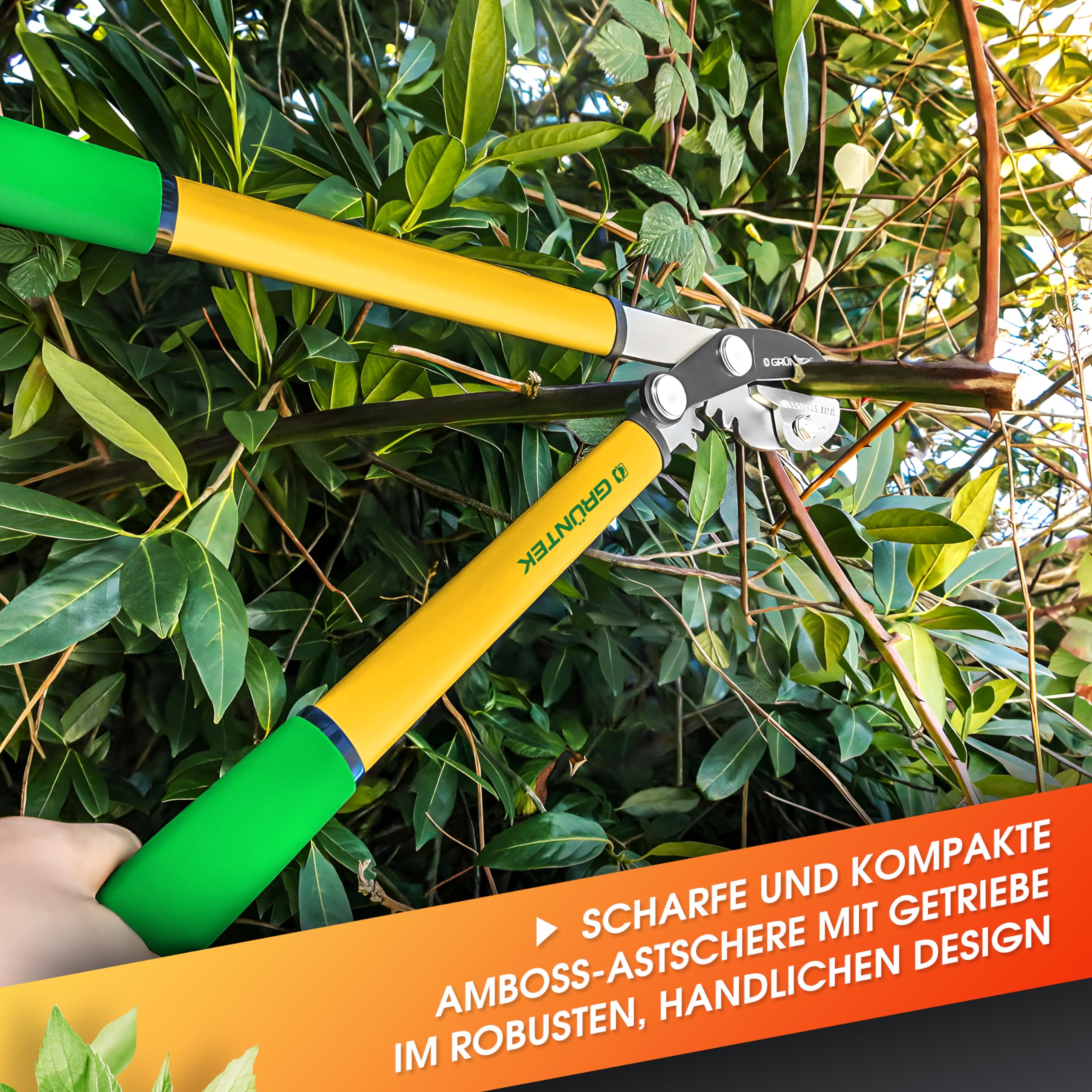 GRÜNTEK GRIZZLY Astschere mit Metall-Amboss, SK5-Stahl & Antihaftbeschichtung – 60mm Klingenlänge, 2-fach-Getriebe Baumschere, Antirutsch-Griffe, ergonomisch, Heckenschere