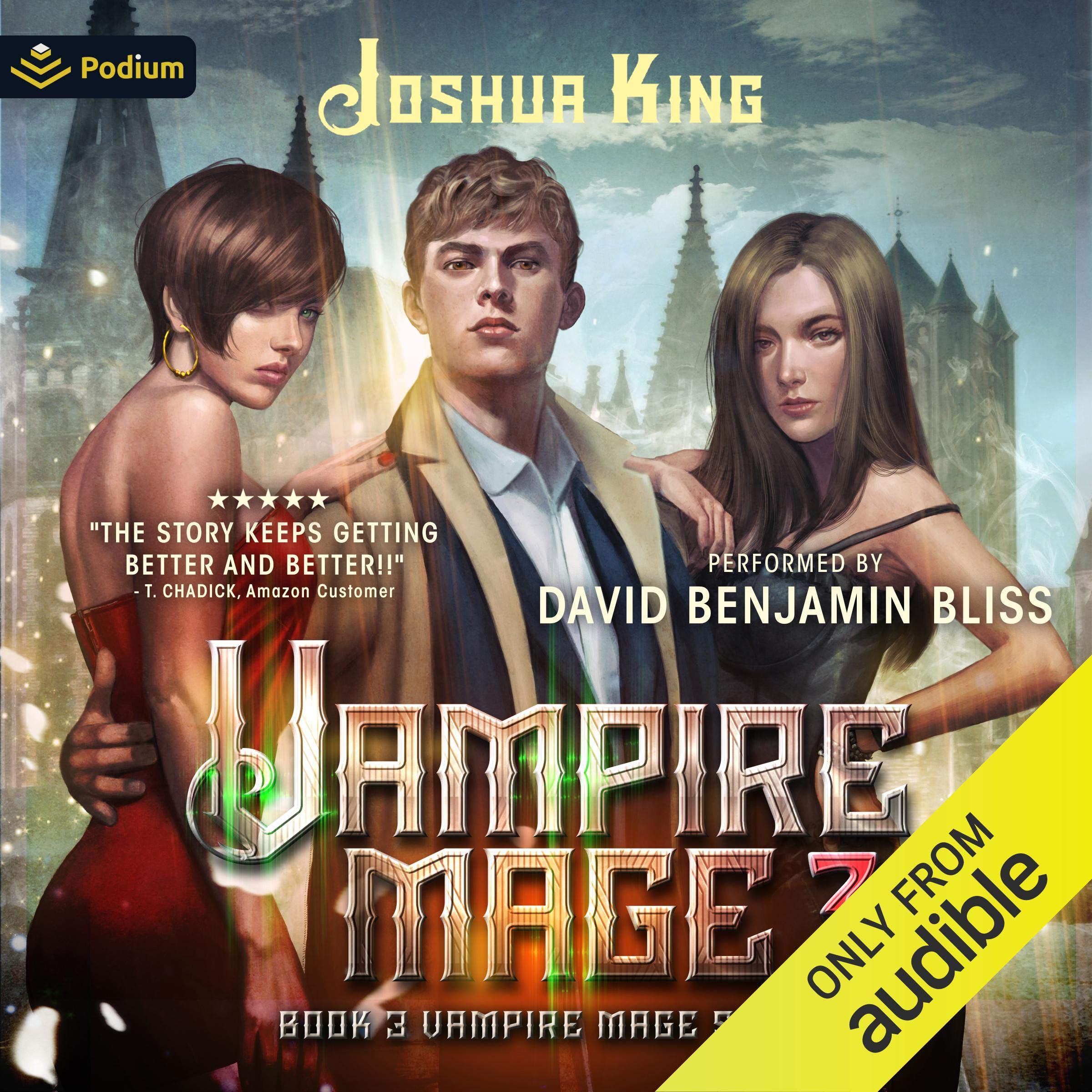 Cover art for Vampire Mage, Book 3