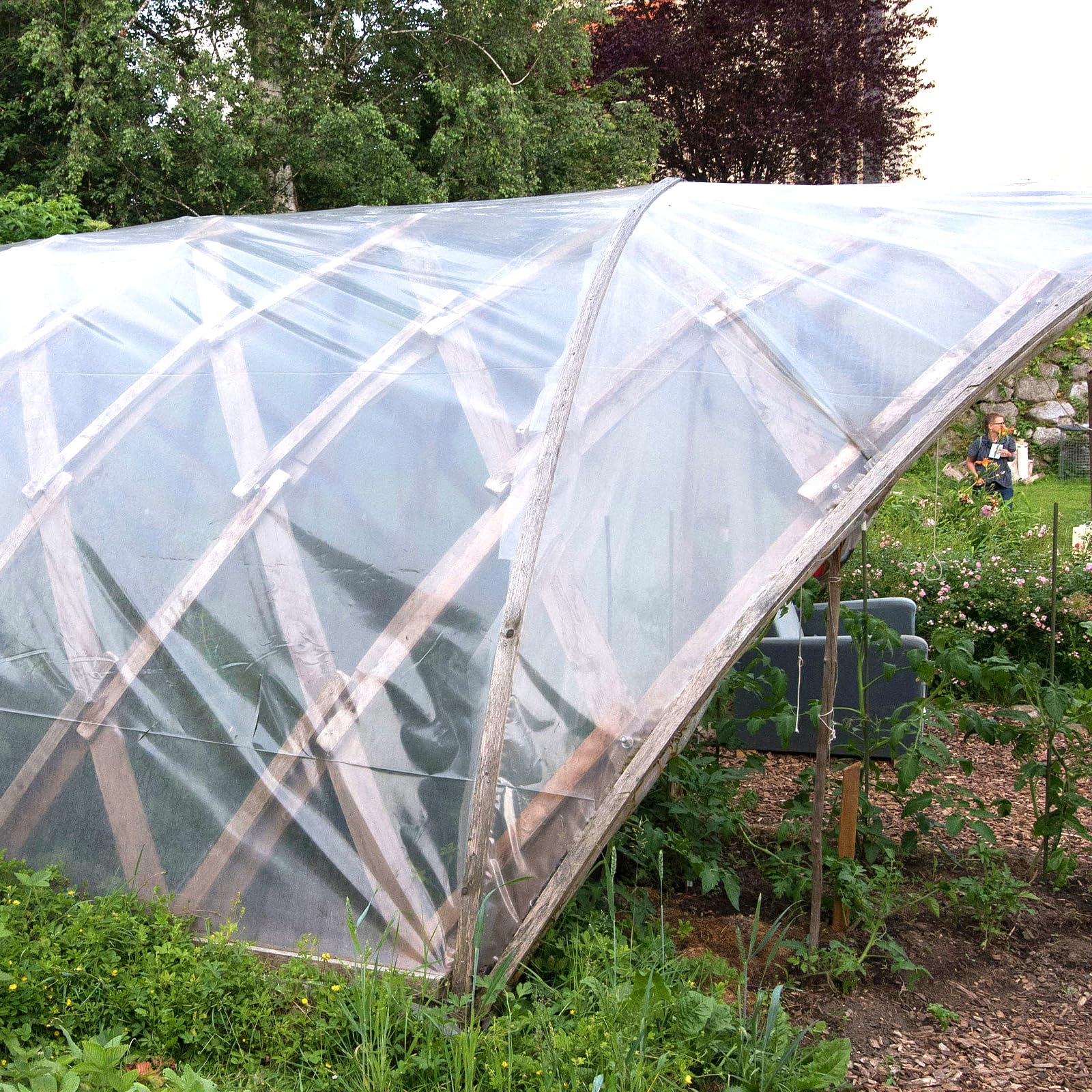 Film de serre en polyéthylène 2 x 3 m transparent indéchirable VOSSOT