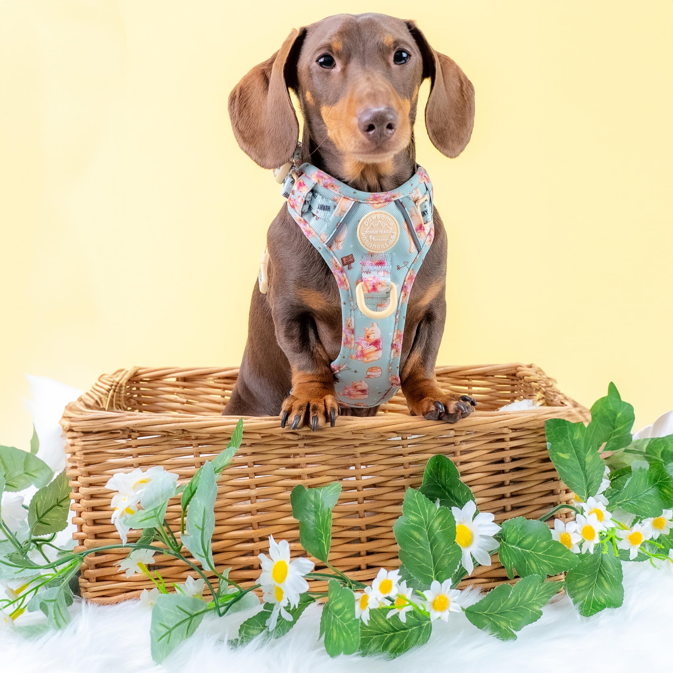 Pawsome Paws Boutique Pettorina per cani Winnie the Pooh, extra piccola, resistente, design Disney, regolabile, anti-tiro, con finiture riflettenti e fibbia robusta