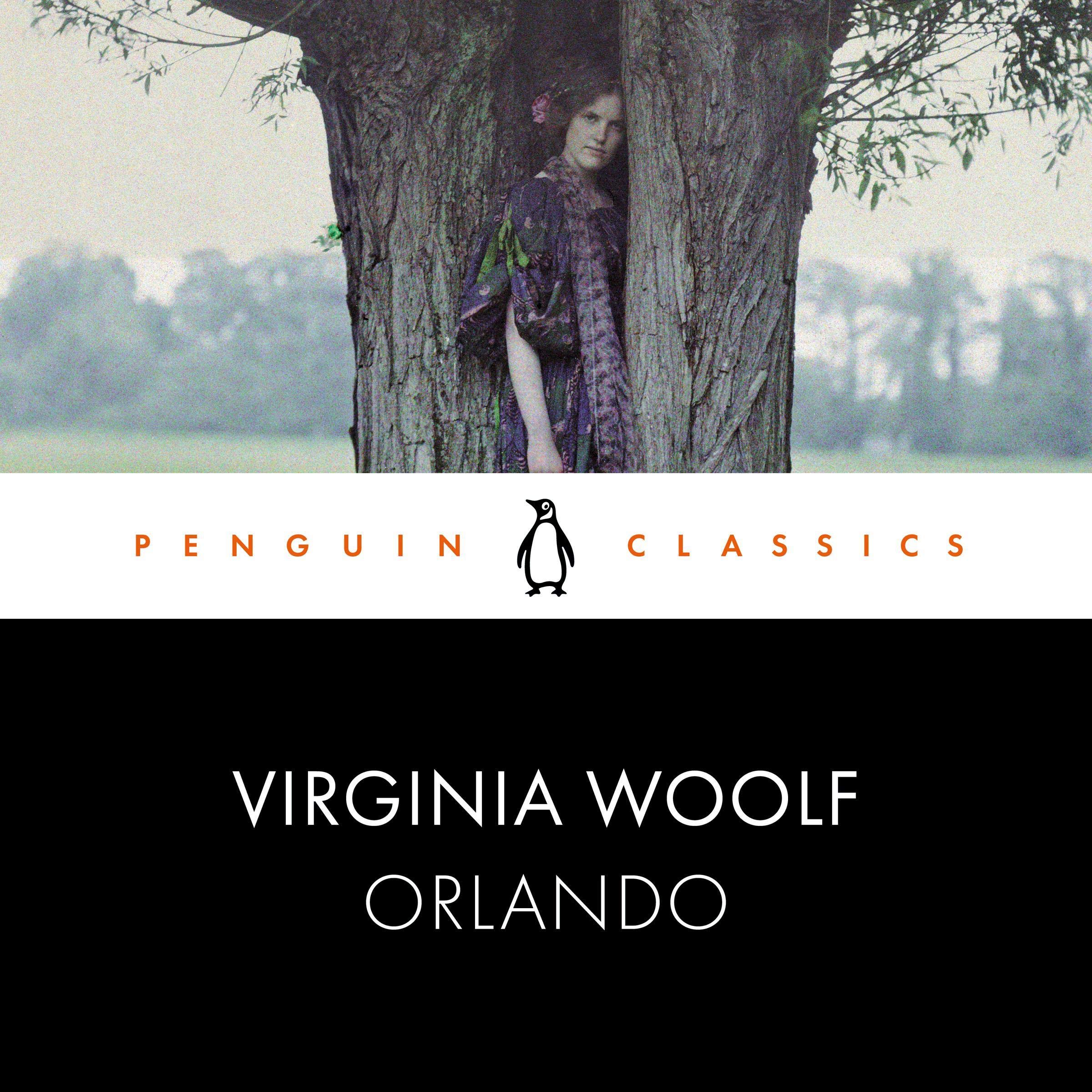Cover art for Orlando