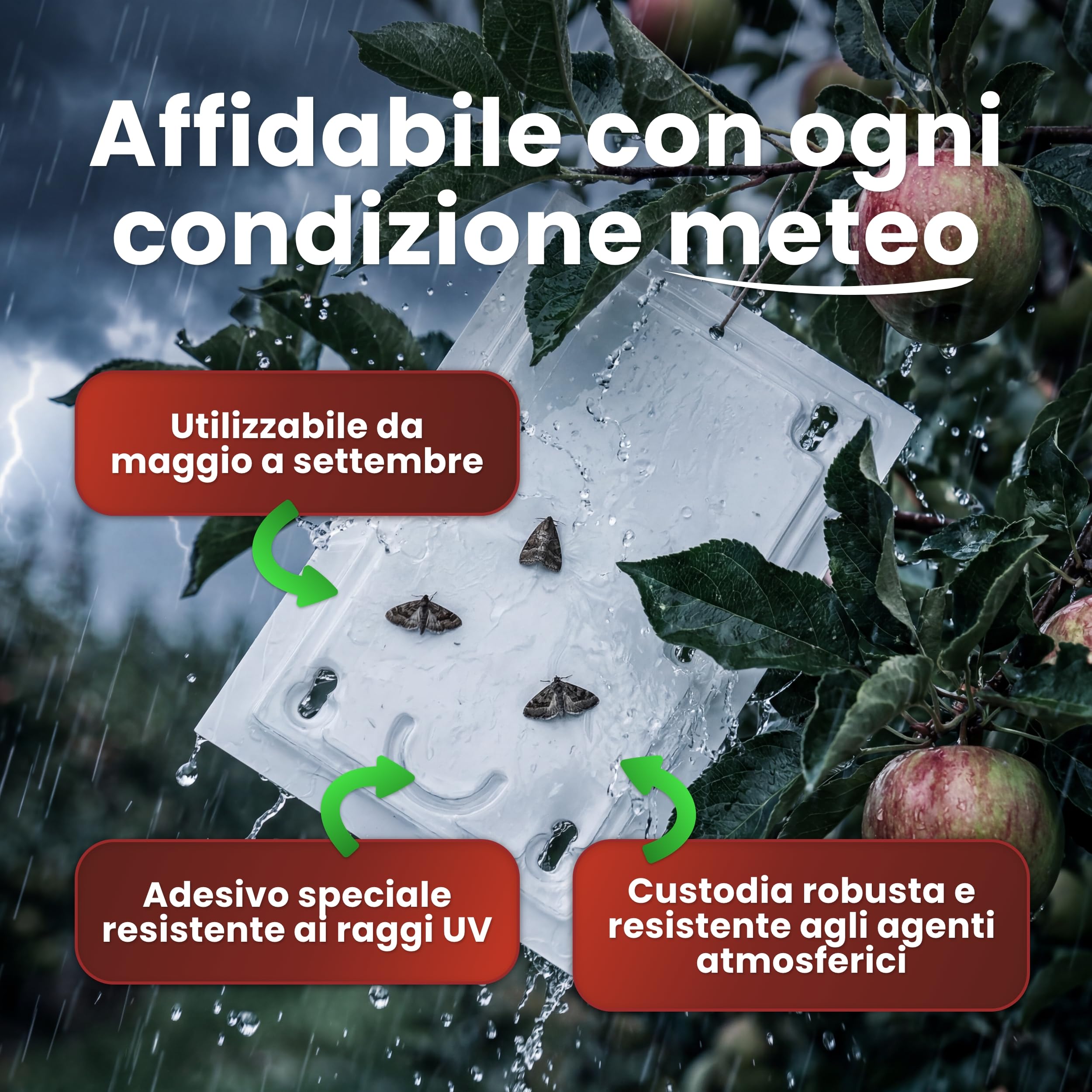 Trappola per feromoni per mele, set di 2 trappole per alberi da frutto, efficace trappola per avvolgere le prugne, protezione antitarme senza tossine per il melo, include attrattiva