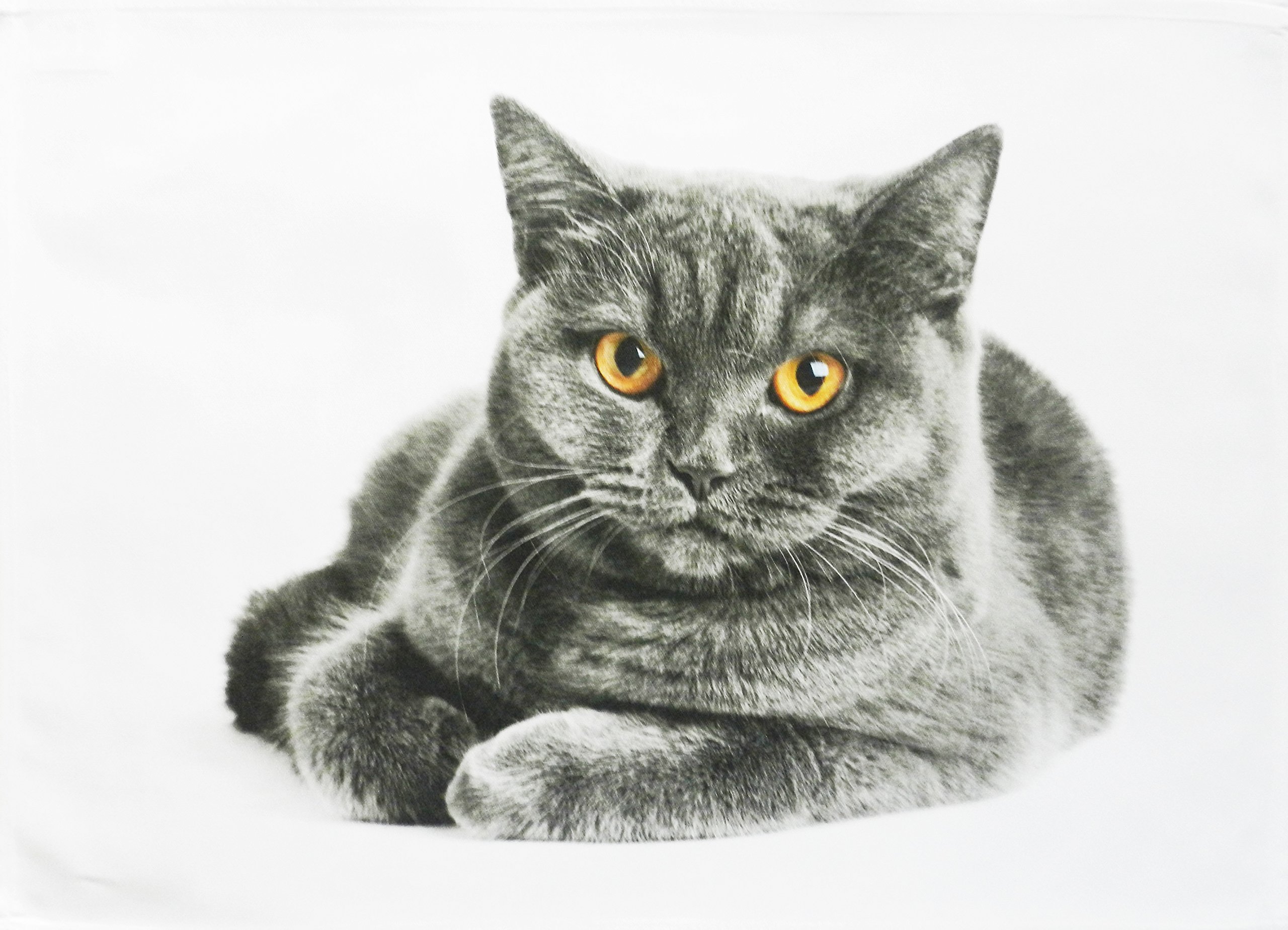 Half A Donkey White The Grey Cat Large Cotton Tea Towel