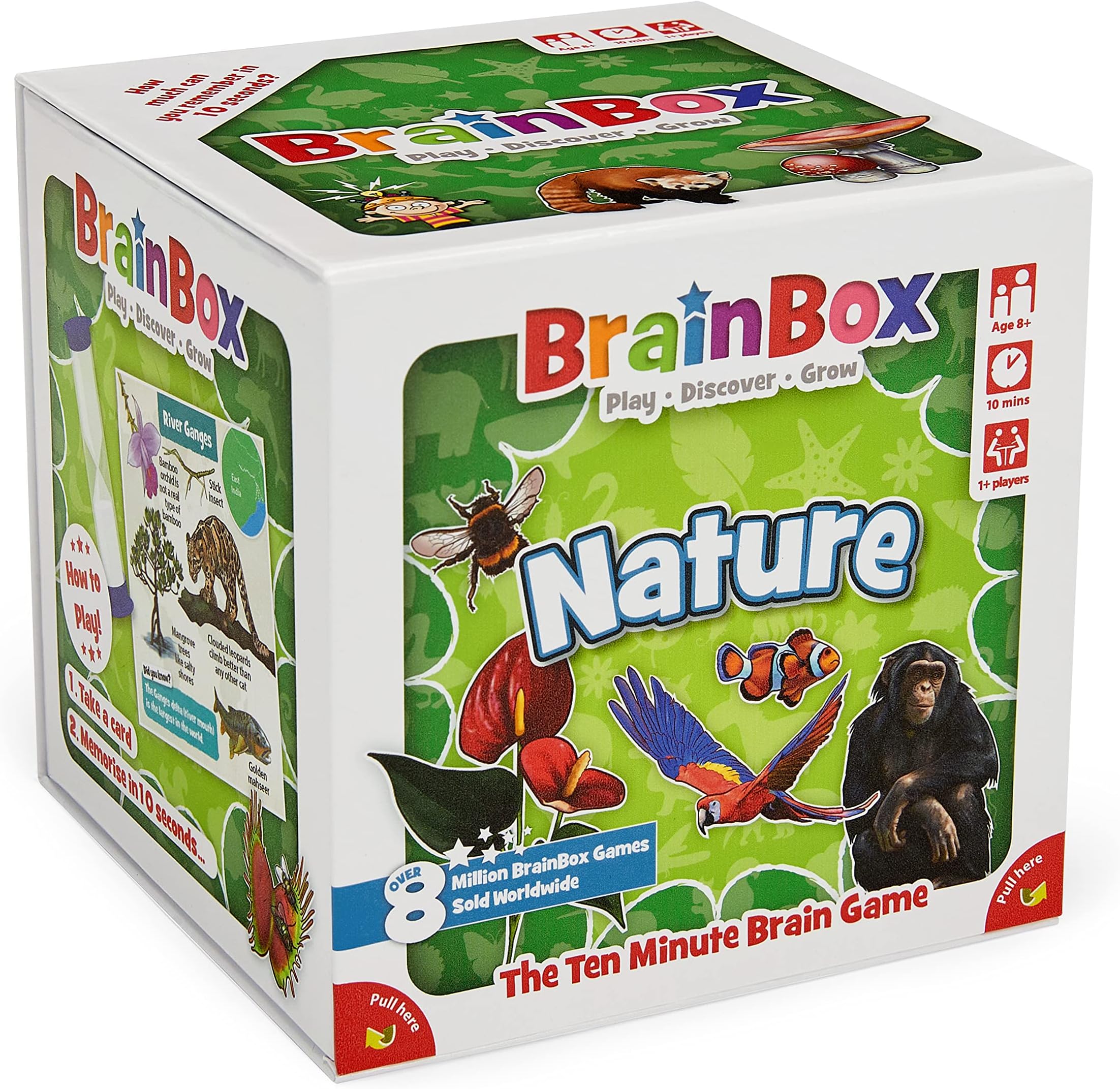 BrainBox Nature | Fun & Educational Card Game | Ages 8+ | 1+ Players | 10 Minutes Play Time