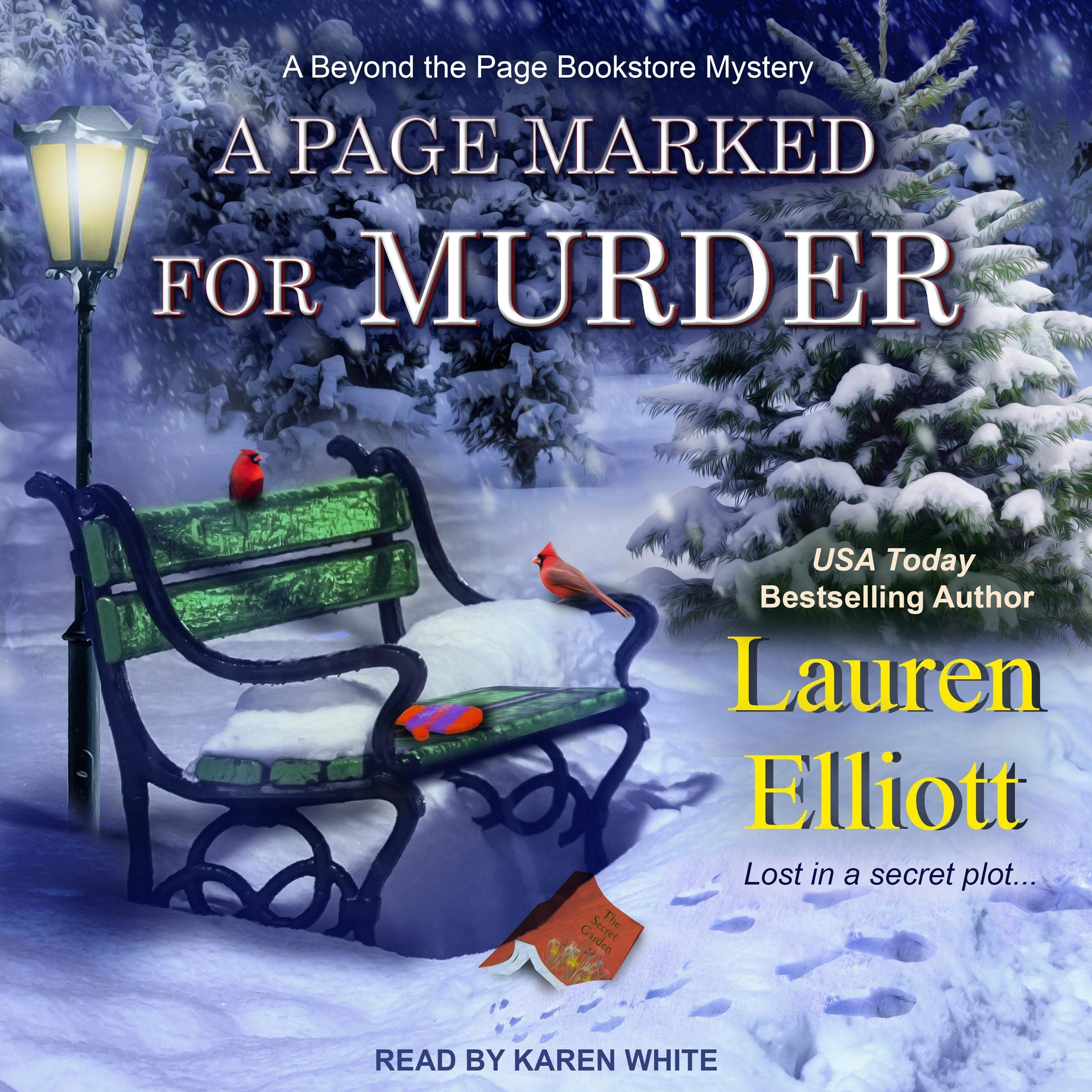 Cover art for A Page Marked For Murder