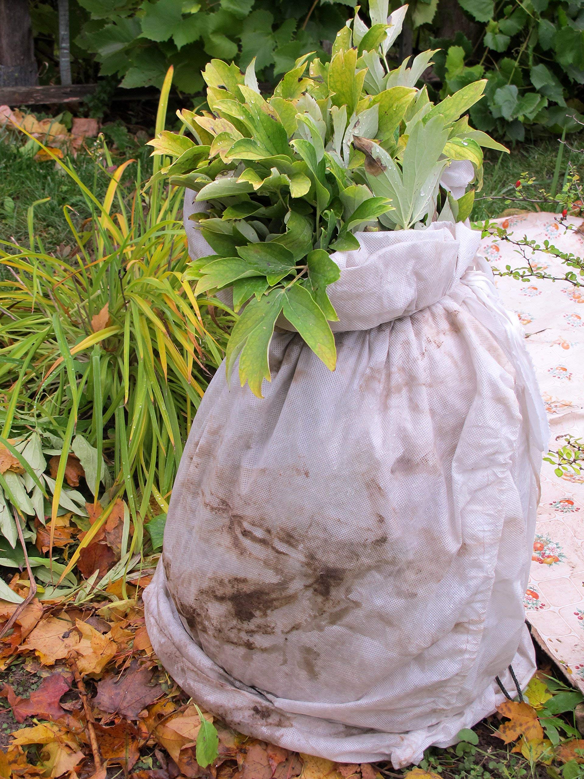 Aquagart Wintervlies 100m² Kälteschutz für Pﬂanzen I Thermovlies Garten I Winterschutzvlies reißfest I Frostschutzvlies Bäume I Pﬂanzenschutzvlies Winter I Abdeckvlies weiss 150g 2m breit