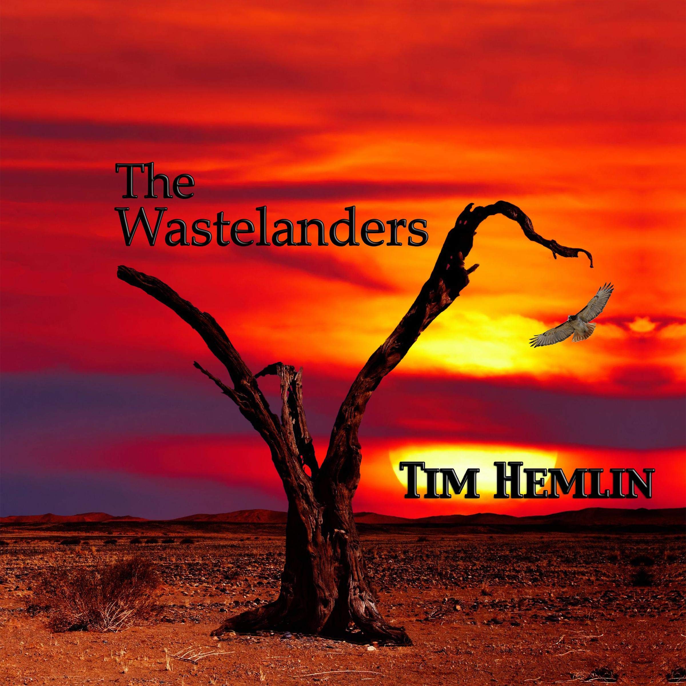 Cover art for The Wastelanders