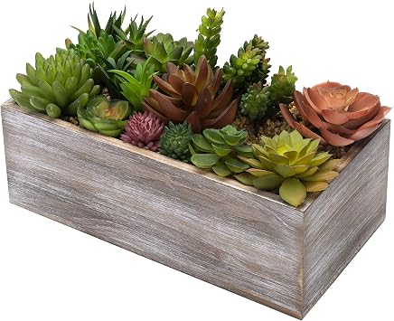 Amazon Mygift 12インチ 人工多肉植物 素朴な木製プランターボックス入り 人工観葉植物 オンライン通販 Amazon Mygift 12インチ 人工多肉植物 素朴な木製プランターボックス入り 人工観葉植物 オンライン通販