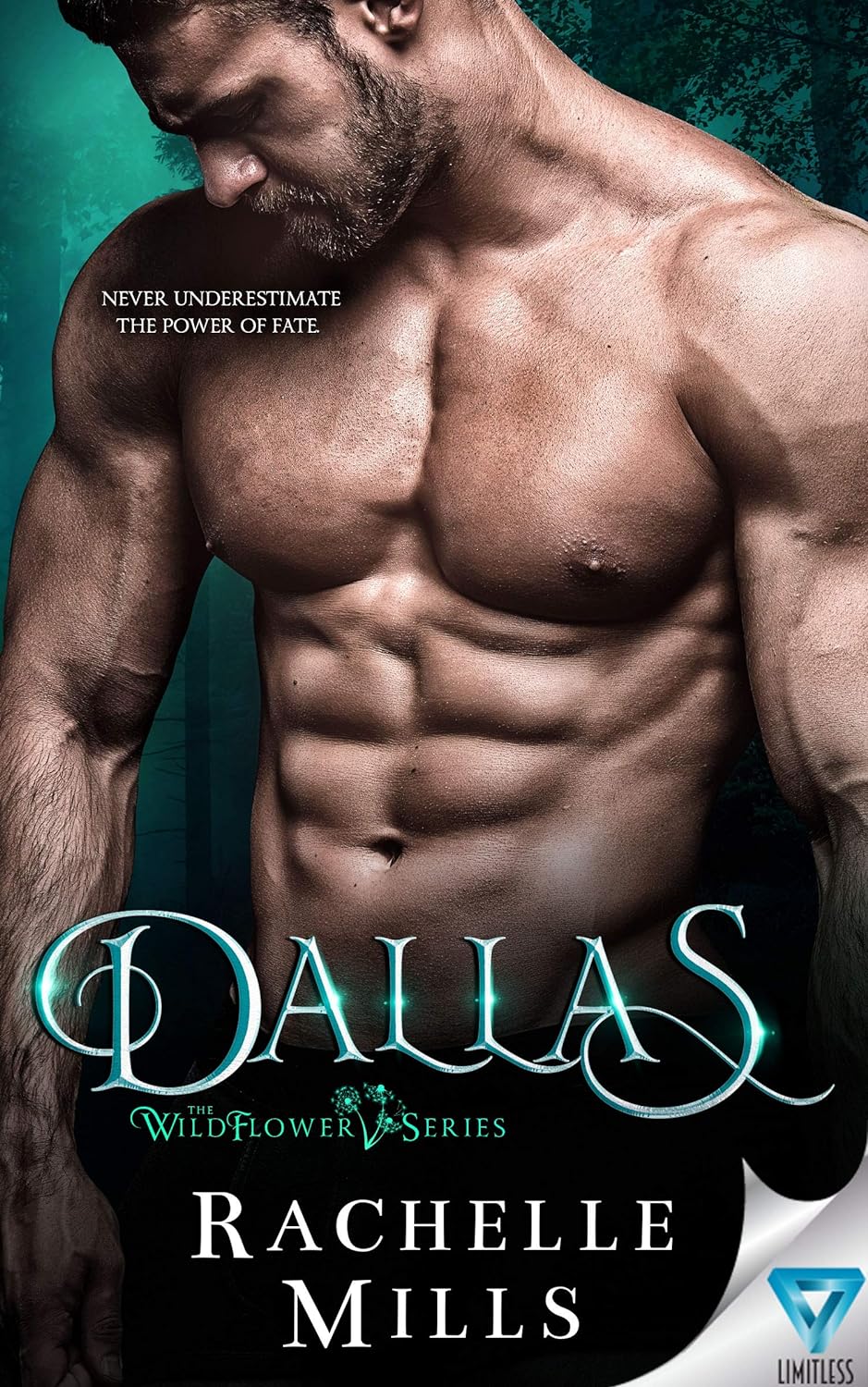 Dallas (The Wildflower Series Book 2) eBook Mills, Rachelle Amazon