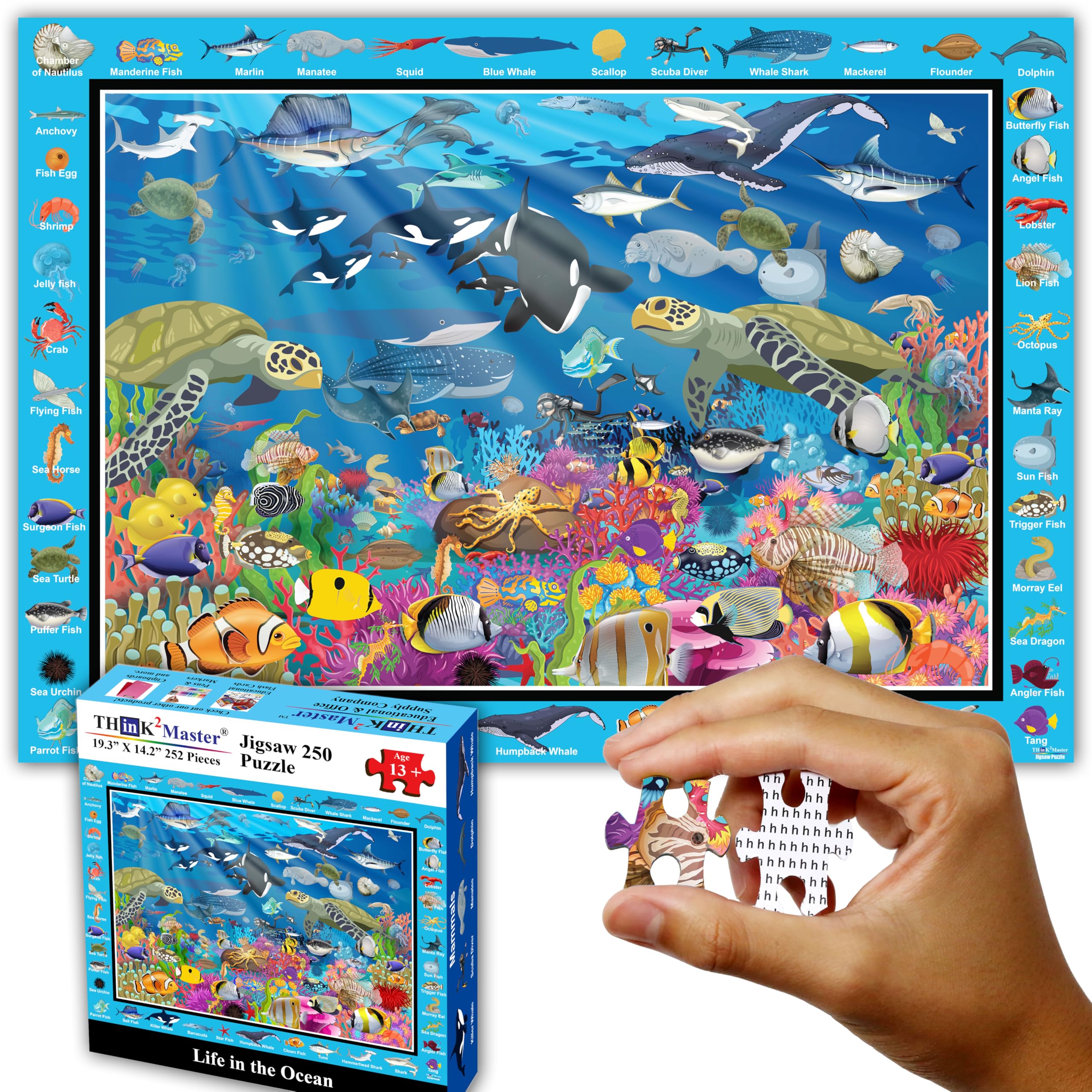 Amazon.com: Think2Master Ocean Life 250 Pieces Jigsaw Puzzle