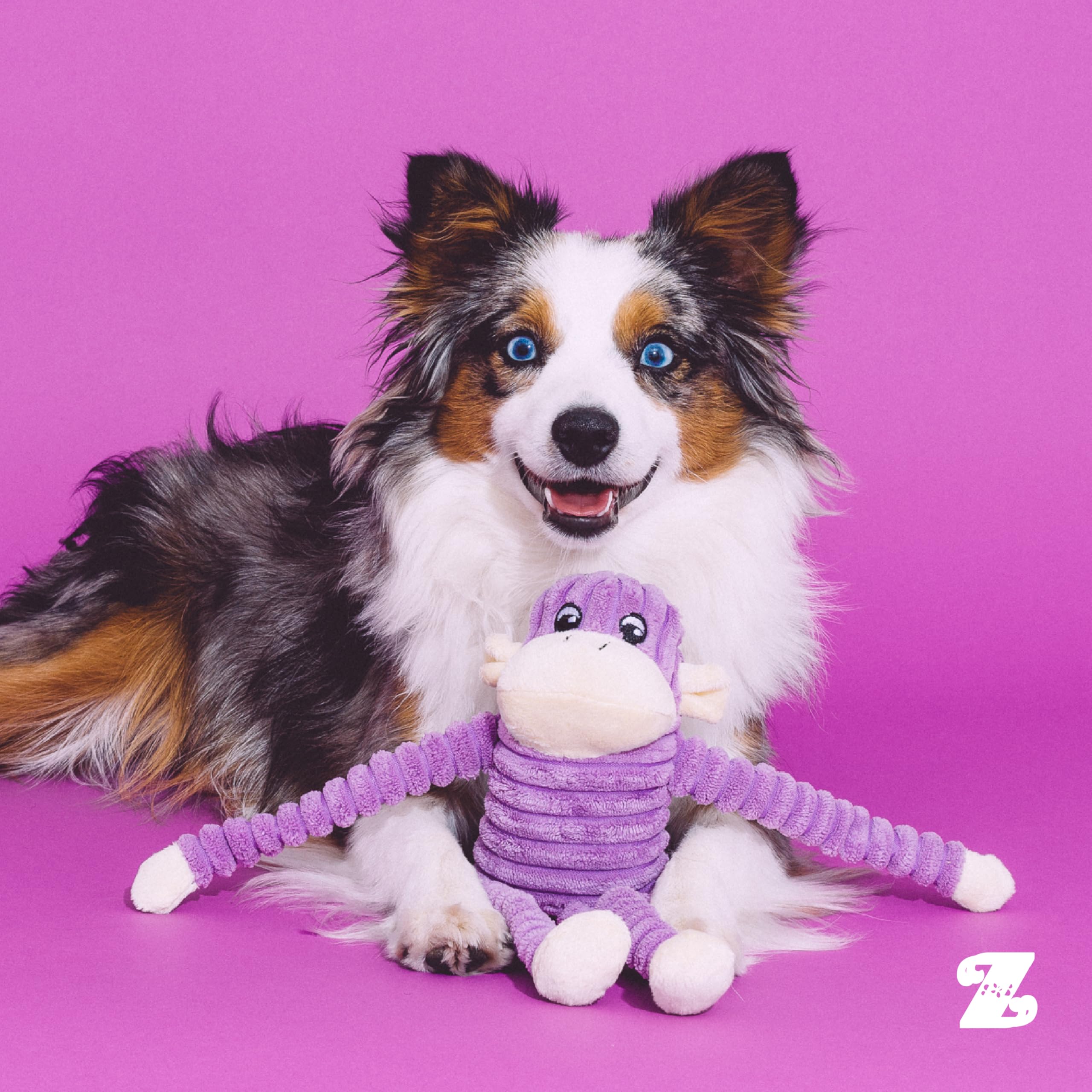 ZippyPaws - Zabawka dla psa Spencer The Crinkle Monkey, piszcząca i marszczona pluszowa zabawka - fioletowa, mała