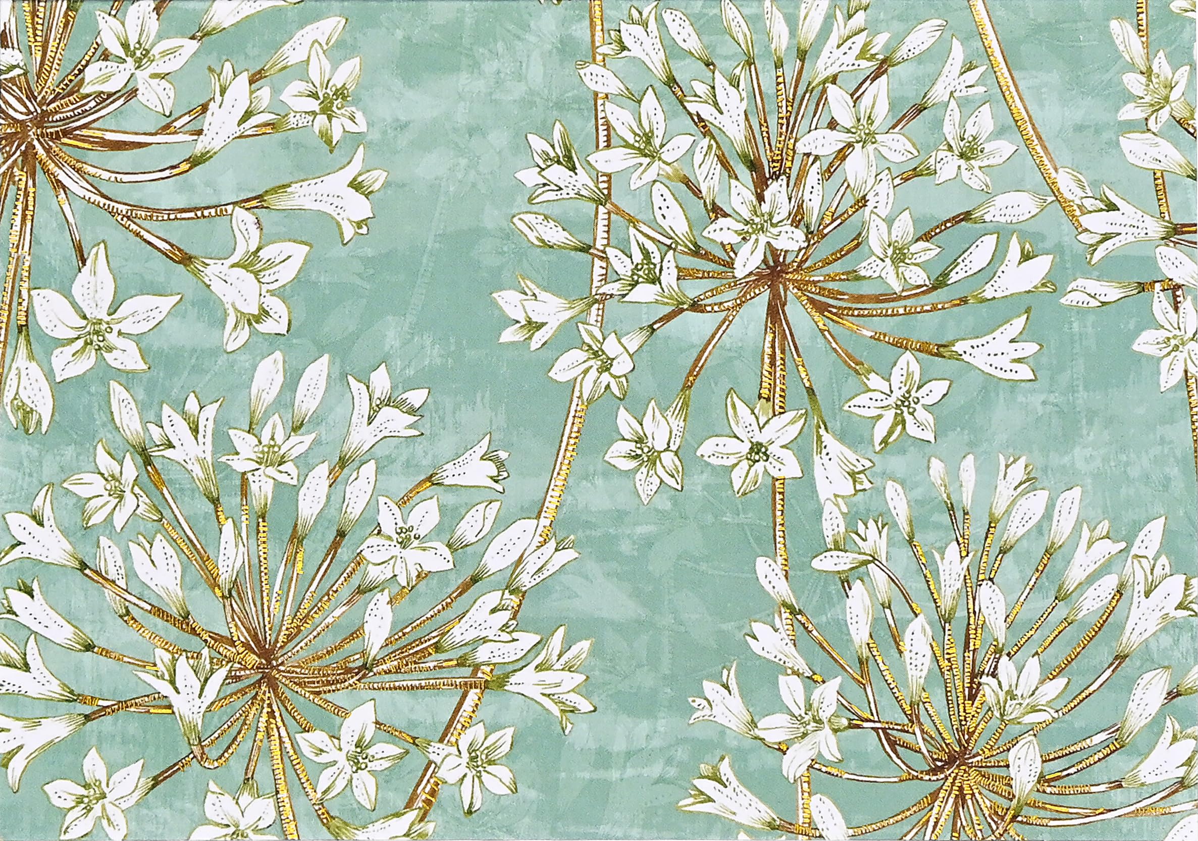 Allium Blossoms Note Cards (14 cards, 15 self-sealing envelopes)