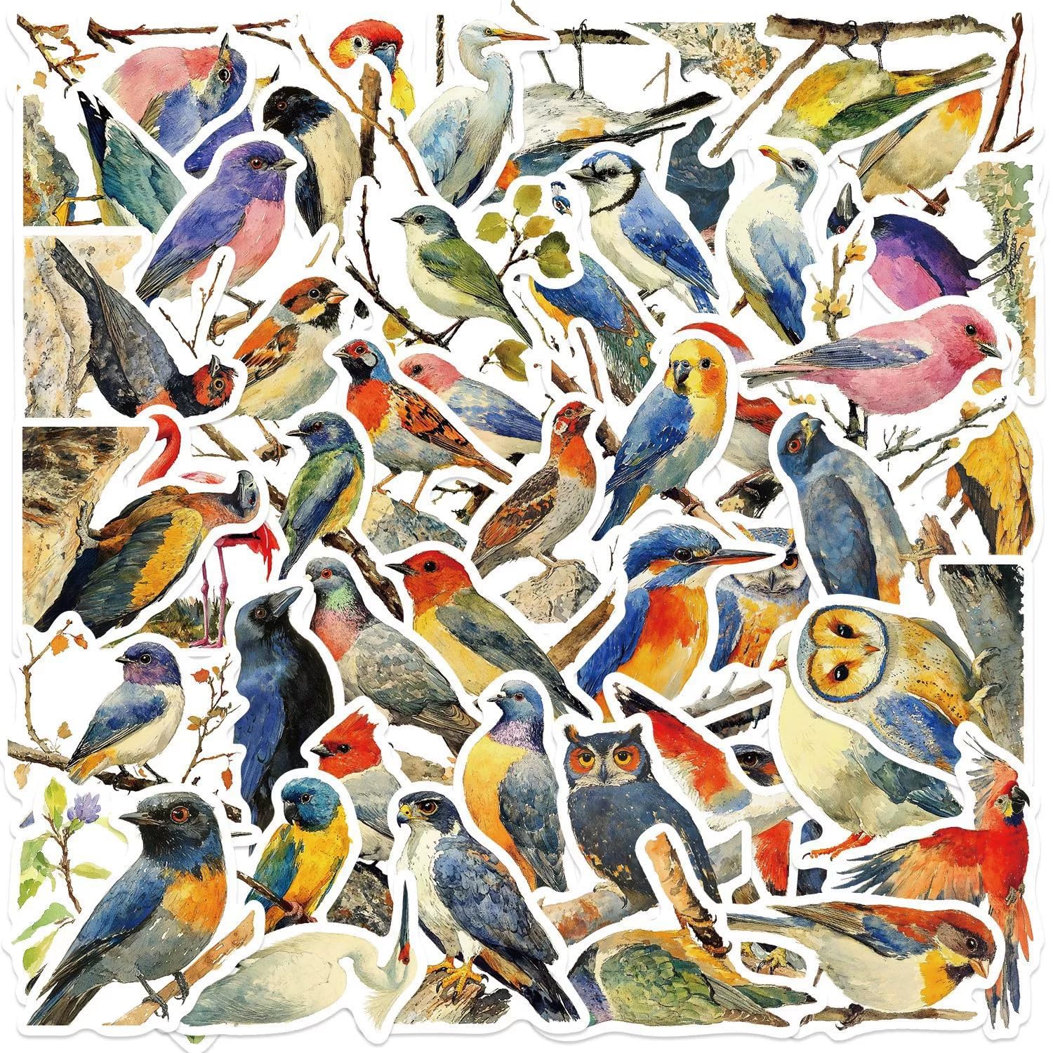 AUCEKO 50 Stück Vögel Aufkleber Pack Watercolor Bird Sticker Set wasserdichte Vinyl Sticker für Laptop Kinder Autos Motorrad Fahrrad Skateboard Gepäck Koffer Computer Aufkleber Graffiti Decal