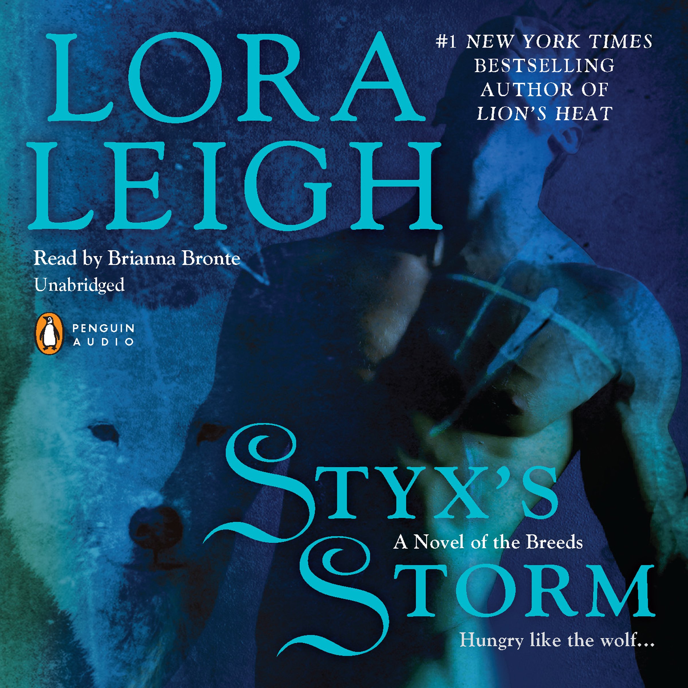 Cover art for Styx's Storm