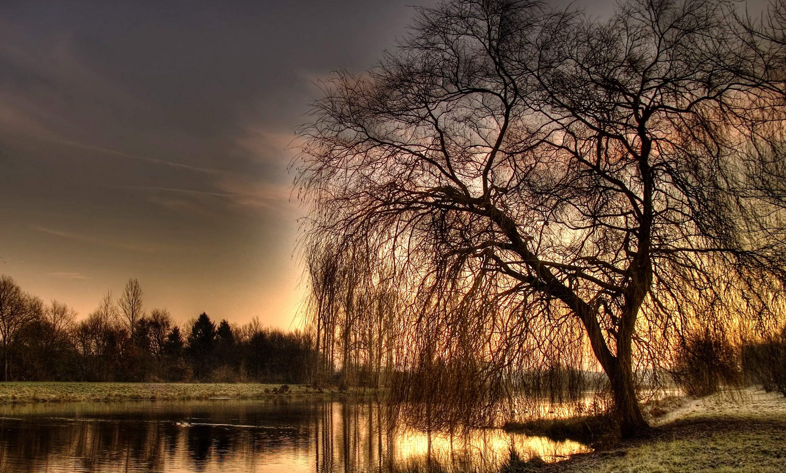 Dartmoor Prints and GiftsBeautiful Landscape Tree by the Lake Box Canvas Picture Print Ready to hang 34 x 20 inches Printing Printed