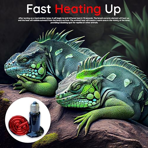 Miniatura 5 de AGRIGOOLTURE - Lámpara de calor para reptiles de 100 W, paquete de 2 emisores de calor de cerámica, sin bombillas emisoras de luz para anfibios,