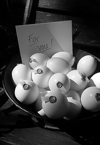 Miniatura 3 de Unique Wedding Favors - Monarch Habitat Seed Eggs