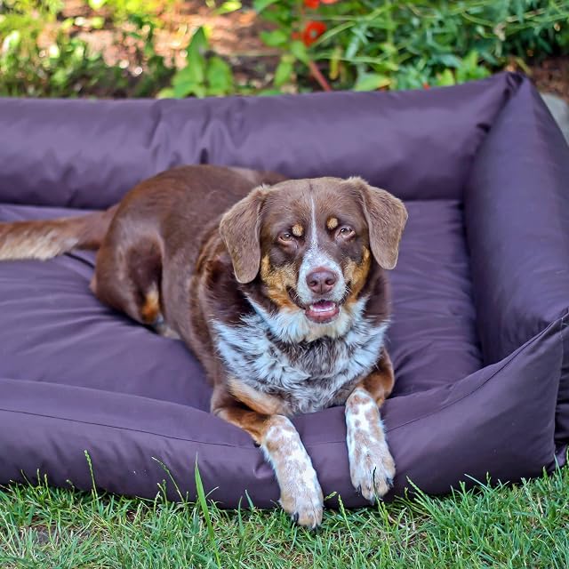 Foto 5 de 8 de 4L Textil Otto Cama Perro Grande, cojín para Perros, Cama para Perros, Funda extraíble Perros