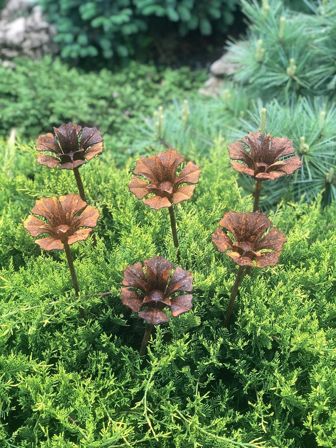 Rusty Flowers Set of 6, 6 Rusty Flowers Garden Stakes, Yard Art, Outdoor Metal Decor, Rusty Metal Garden Decor