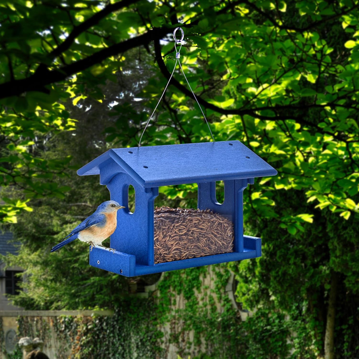 Poly Bluebird Feeder Durable Hanging Weather-Resistant Mealworm and Wild Bird Feeder Outdoor Feeder for Blue Birds Easy Fill-Clean Design Handcrafted in The USA (Blue)