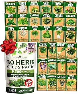 HOME GROWN 30 Herb Seeds for Planting 9,500+ Non-GMO Heirloom Seeds | Extra Large Variety Pack Herb Kit – Indoor Outdoor & Hydroponic | Culinary Seed Set | Grow Your Own Herbs | Gardening Gift