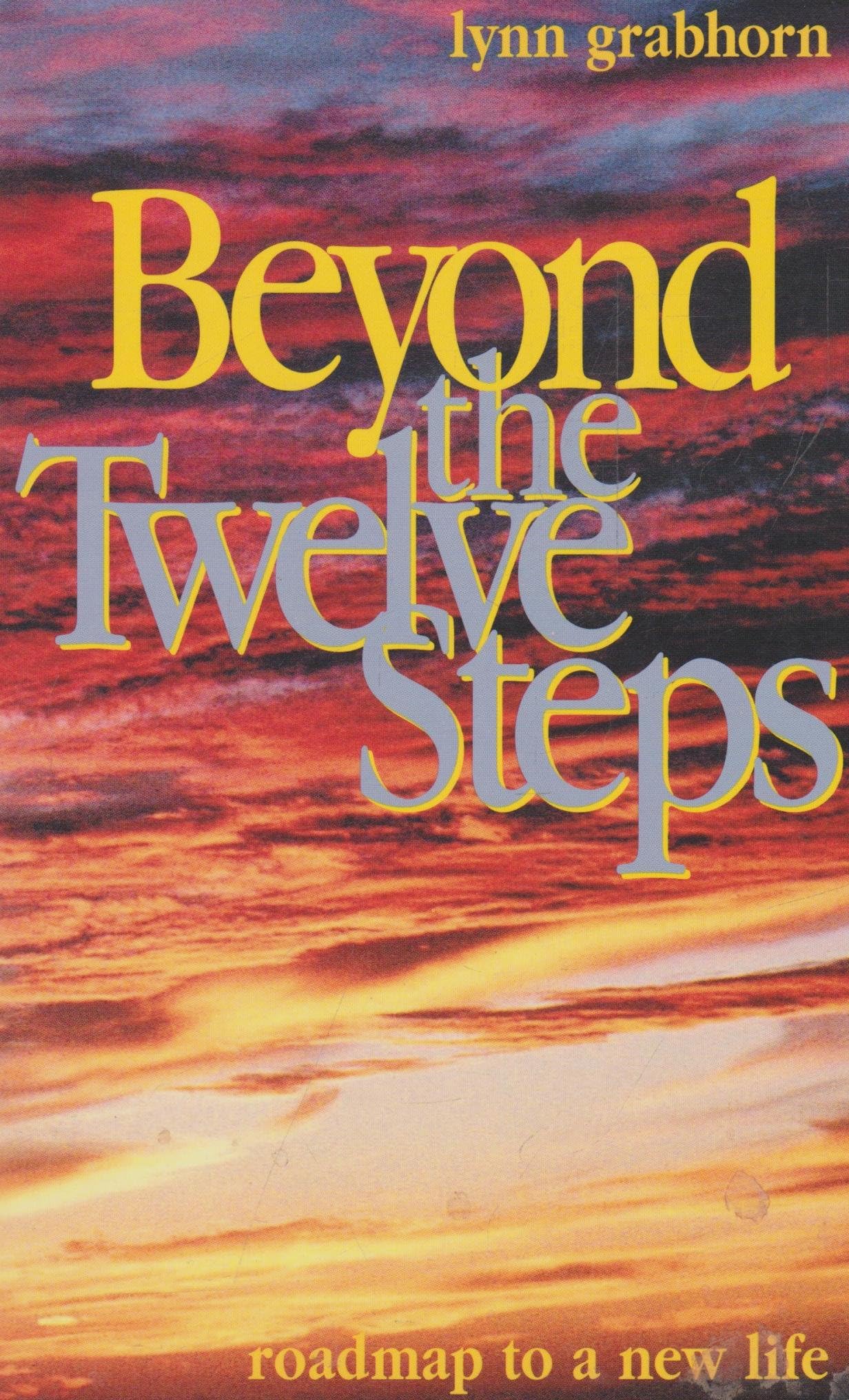 Beyond the Twelve Steps: Roadmap to a New Life Paperback – Illustrated, May 1, 2001