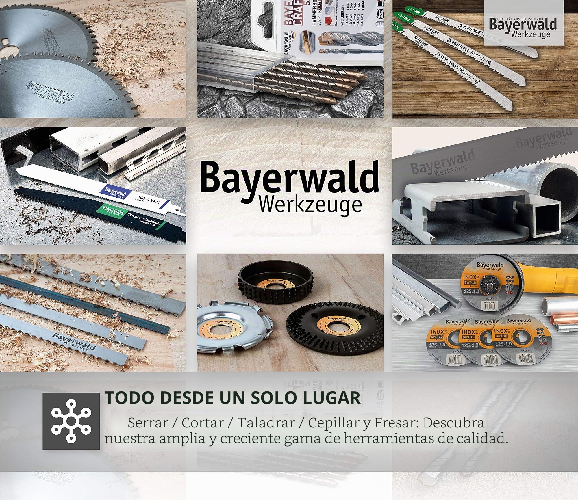 Bayerwald - Hoja de sierra circular (HSS, 250 mm de diámetro x 2 mm x 32 mm, dentado alternado en arco (200 dientes)