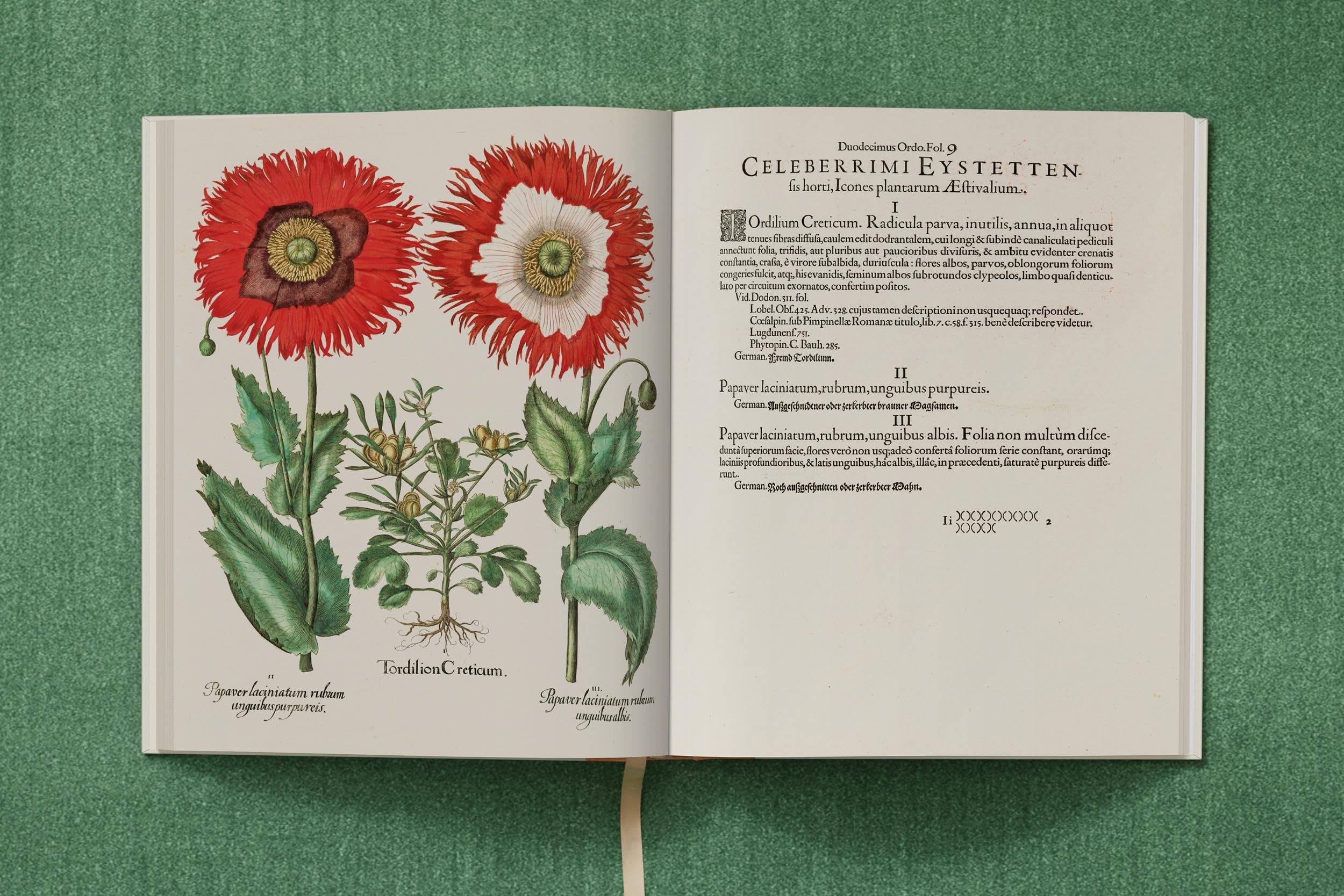 Basilius Besler: The Garden at Eichstätt: 1-3
