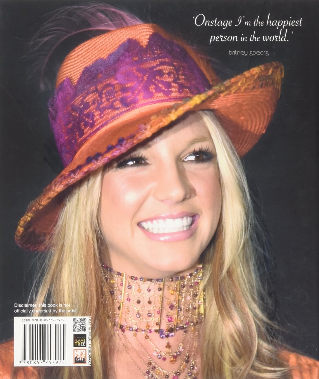 Britney: Pop Princess (Pop Icons)