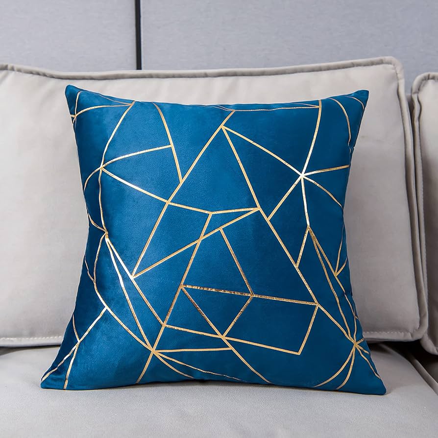 Amazon.com: YONGLIU Pack of 2 Velvet Cushion Cases