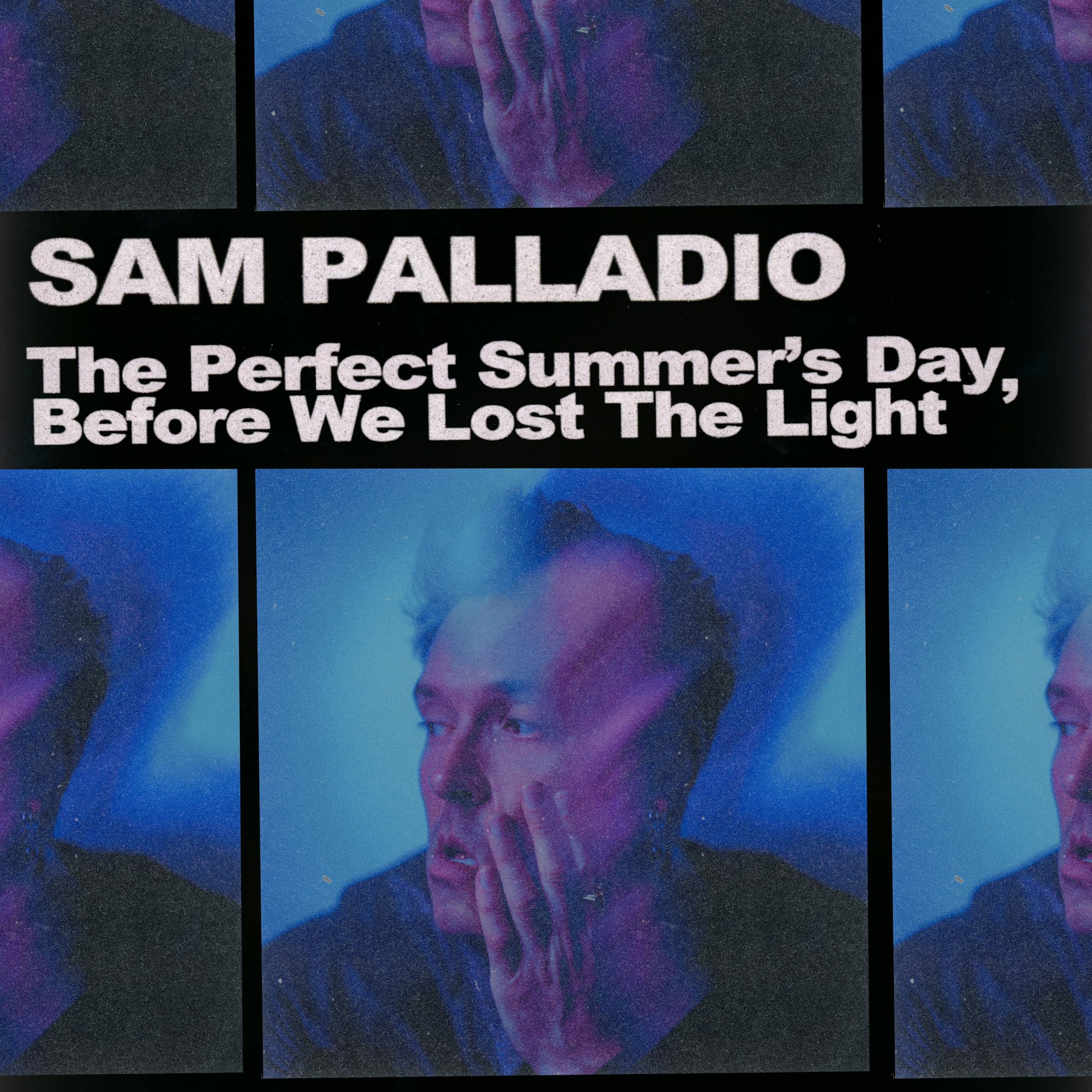 PALLADIO, Sam - The Perfect Summer's Day Before We Lost The Light - Vinyl (LP)