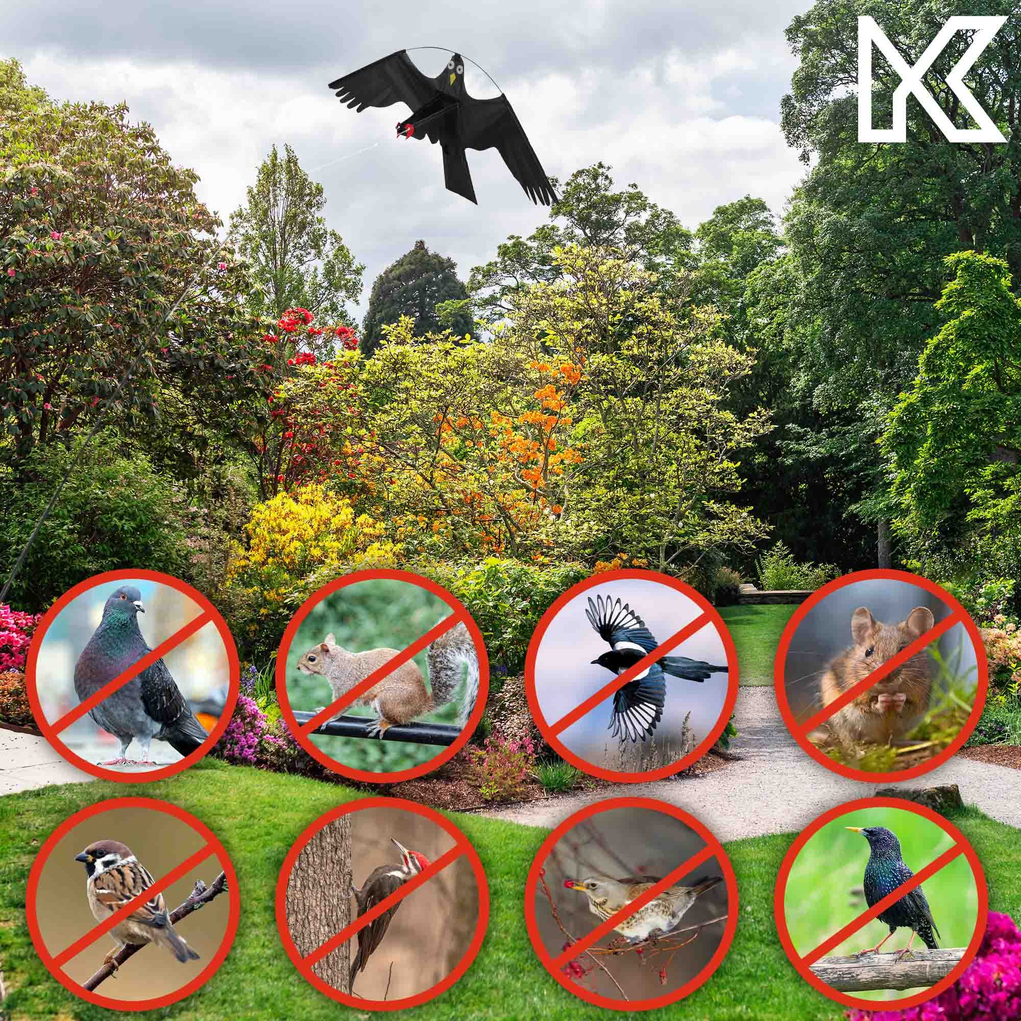 KADAX Falkendrachen, 116x80cm Vogelvertreiber mit Stahlwirbel, Vogelscheuche, Fliegender Drachen, Schädlingsbekämpfungsmittel, Vogelschutzdrachen