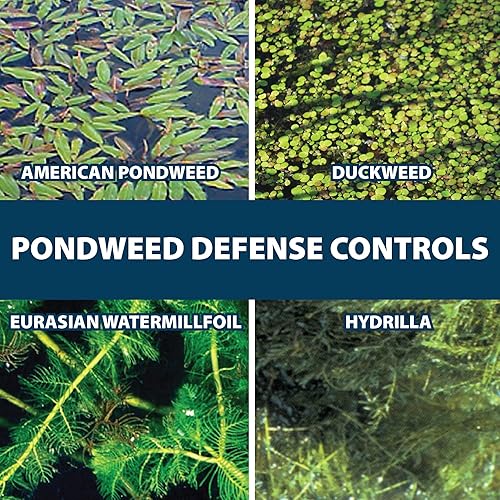 Miniatura 4 de Airmax Ultra Pondweed Defense - Mata malezas acuáticas y plantas, fácil aplicación en aerosol para limpiar y limpiar agua de estanque grande y lago,