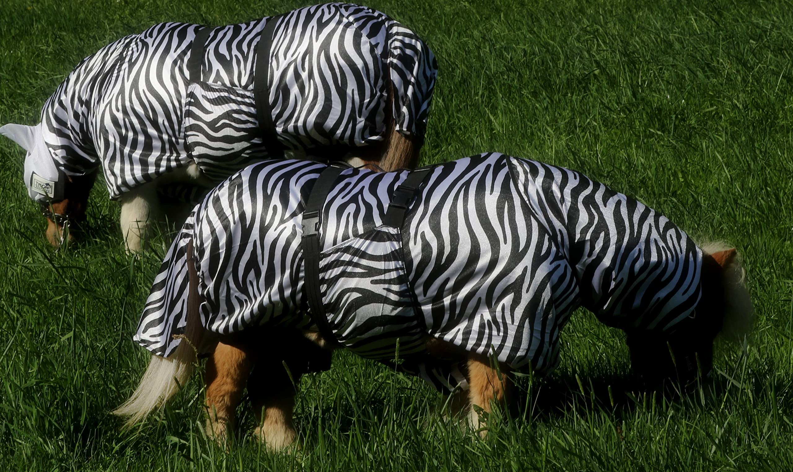 Ekzemerdecke Ekzemer Decke Fliegendecke mit Halsteil Minisehtty Shetty Zebra 60 70 80 90 100 cm Tysons (90)