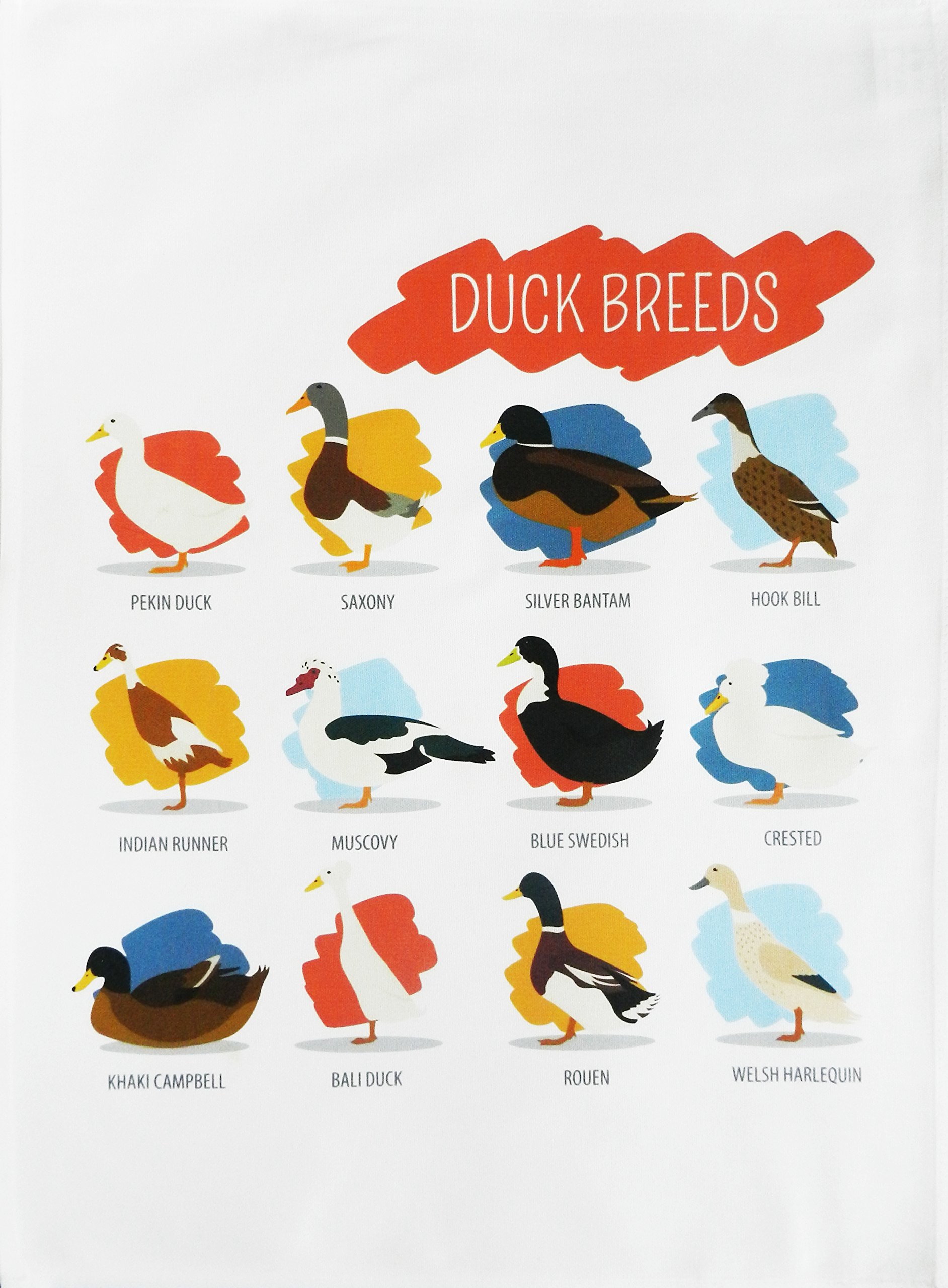 Half A Donkey White Breeds Of Duck - Large Cotton Tea Towel