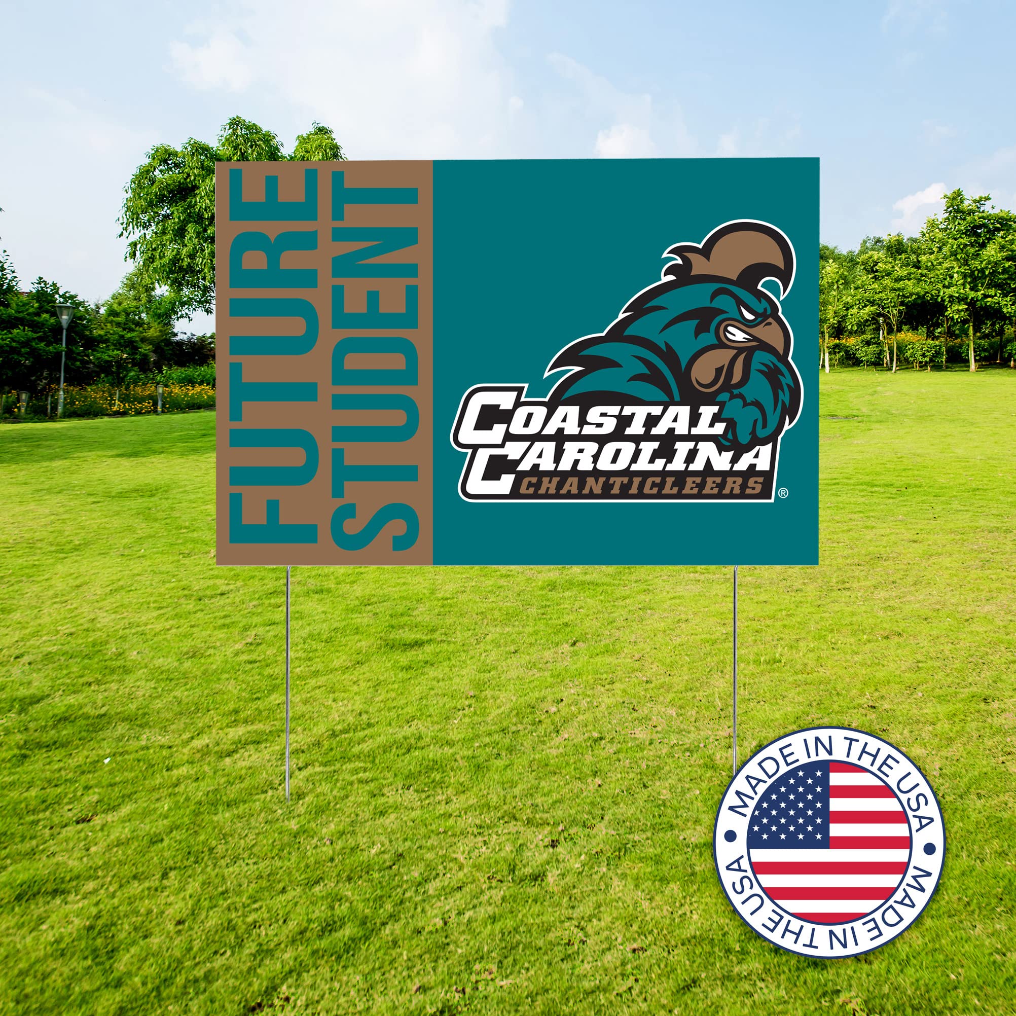 Bandiera Da Giardino Florida State Seminoles 13x18 Pollici, In Poliestere Marrone Per Tifosi - Foto 9