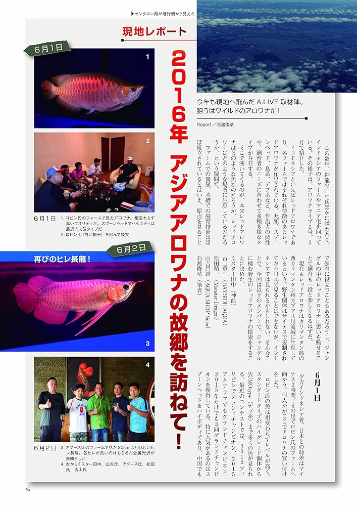 Amazon.com: ALOWANA LIVE(アロワナライブ)(4) 2016年 10 月号