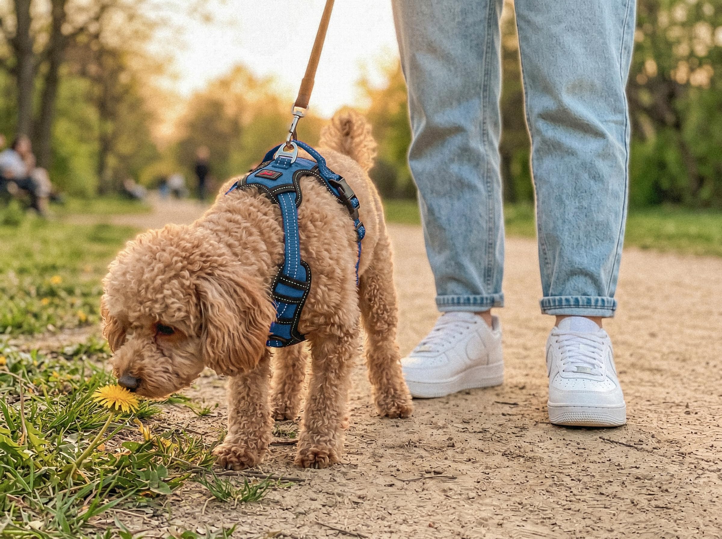 Metro Hundegeschirr, kein Ziehen, Befestigung an der Leine vorne und hinten, 4-Punkt-verstellbare Passform für Hunde, gepolstertes Hundegeschirr für Komfort