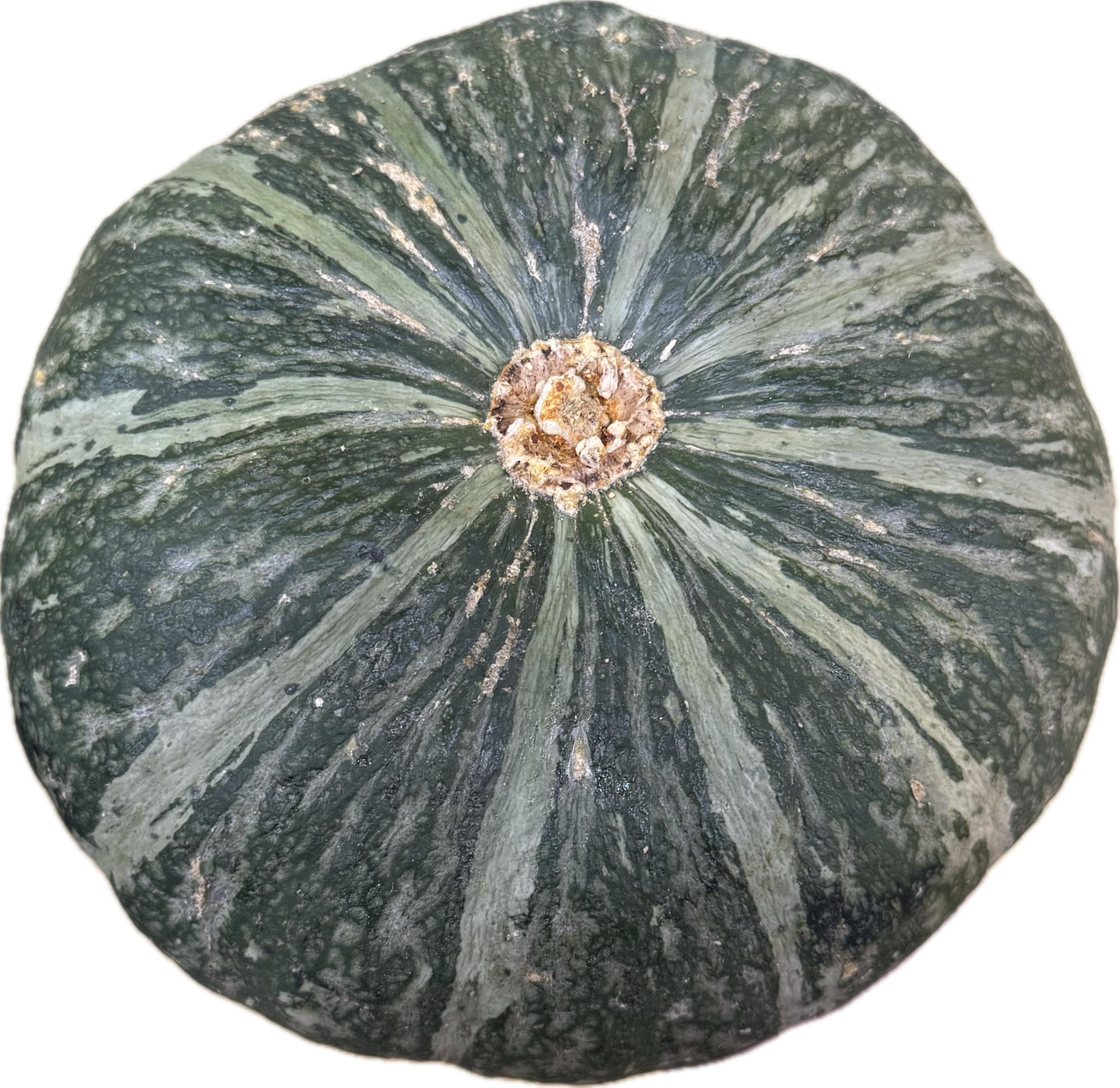 Amazon.com: Fresh Whole Kabocha Squash – 2 lbs Approx, Japanese