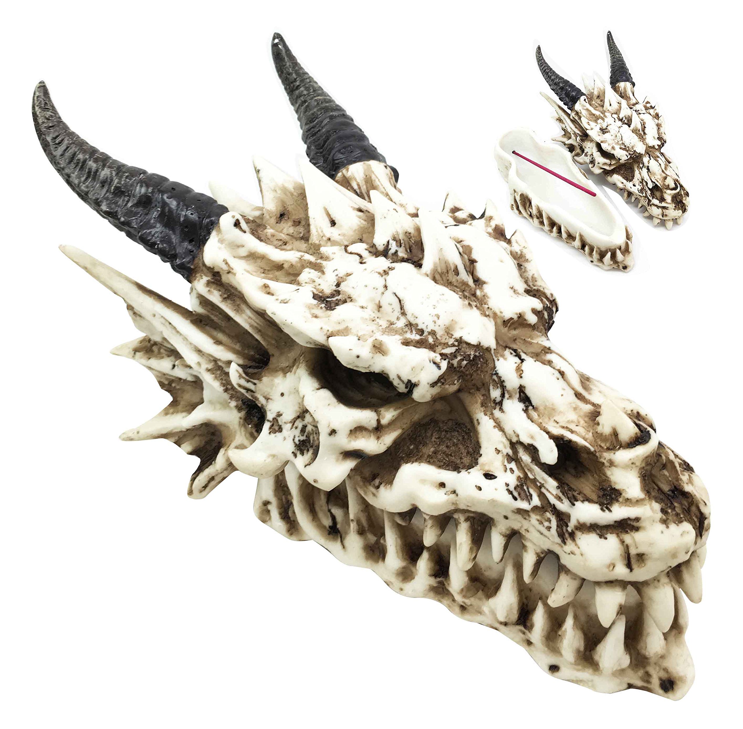 ニホンジカ 頭骨、角、顎付き インテリア 置物　スカルドラゴン Amazon.co.jp: 神話とファンタジーSmoking小鼻and Eyesスケルトン